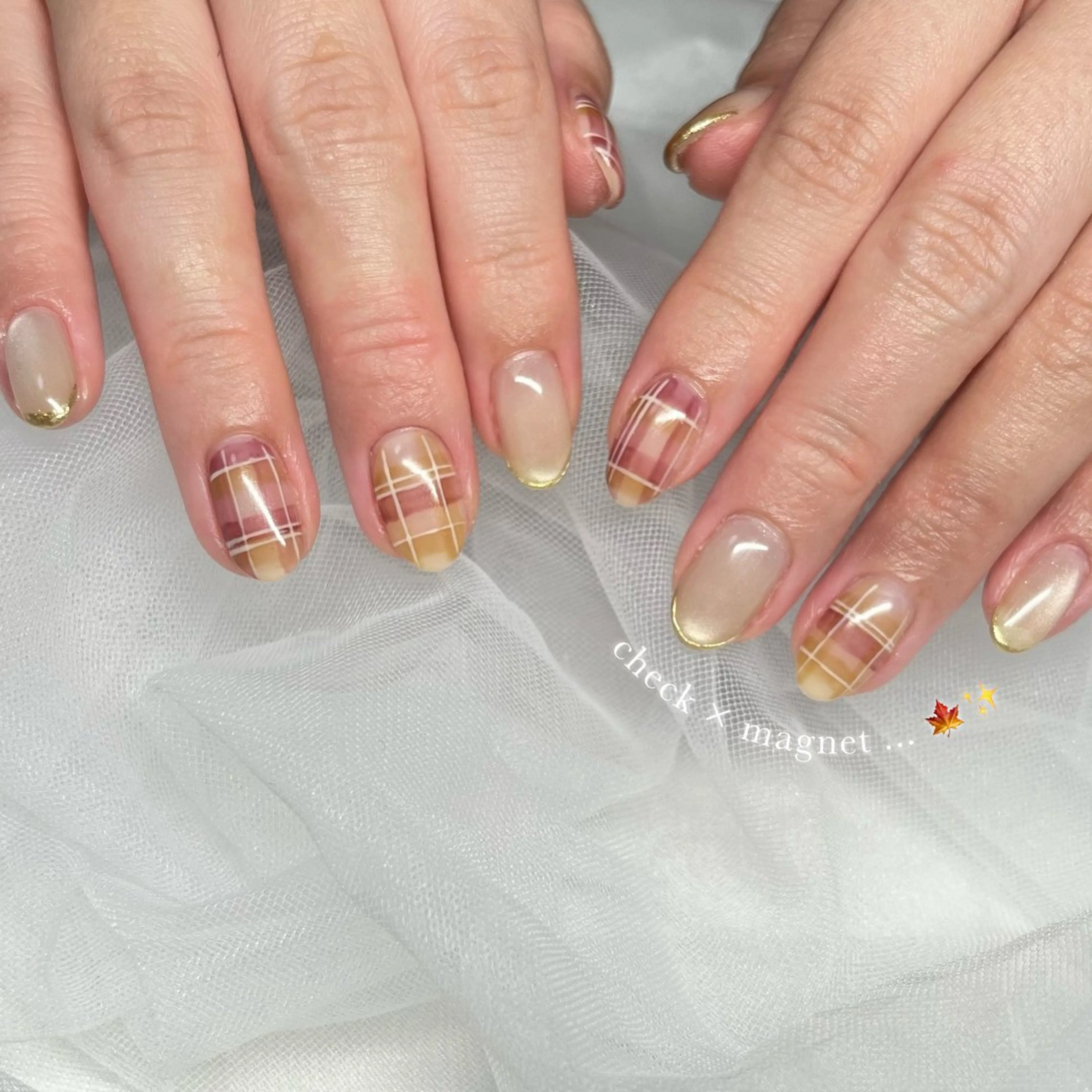 ネイル 長さ出し フラッシュネイル ジェルネイル マグネットネイル 持ち込み ハンドネイル 🌷Gemini nami🌷のネイルデザイン