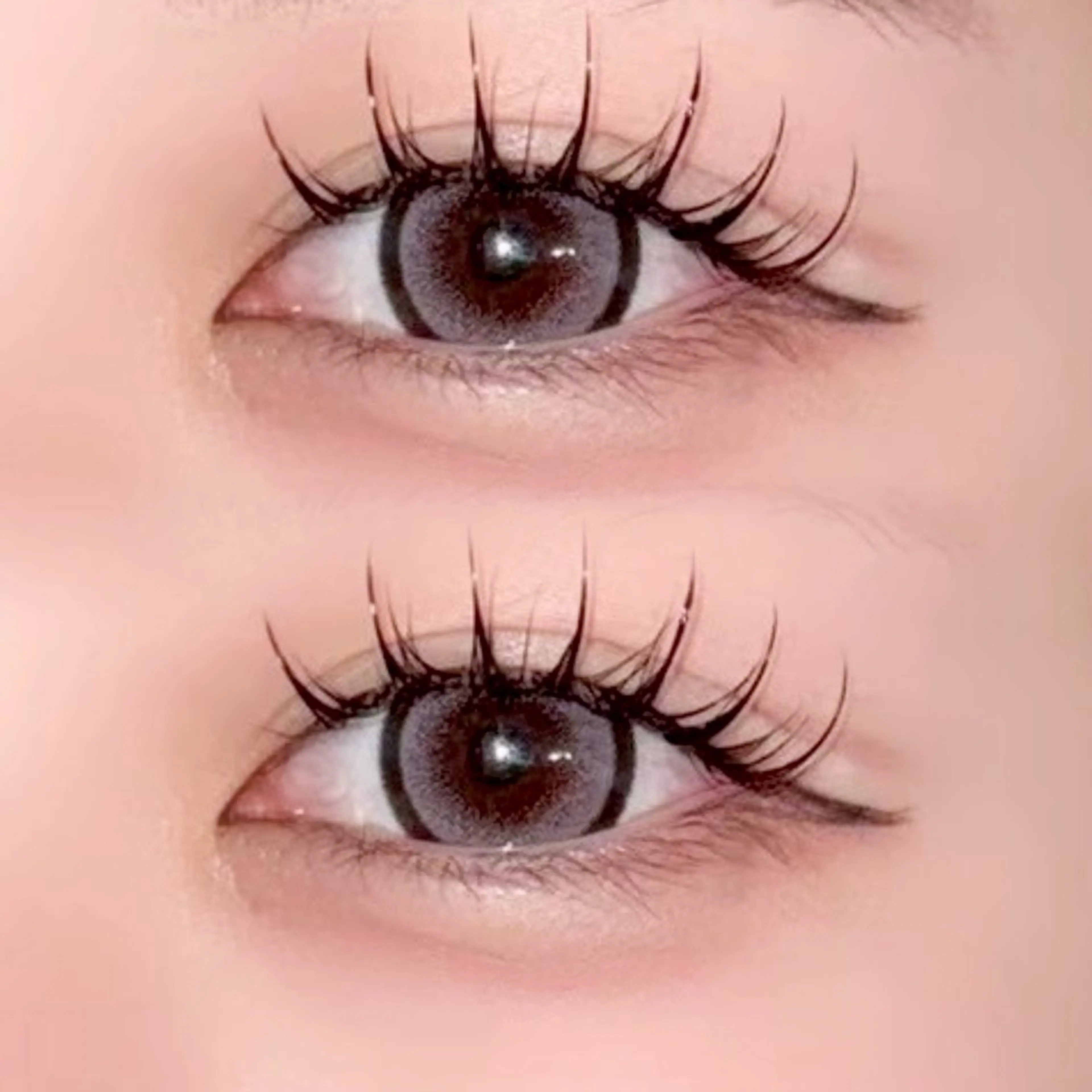 フラットラッシュ120～140本  高級コーティング(オフなし)の写真