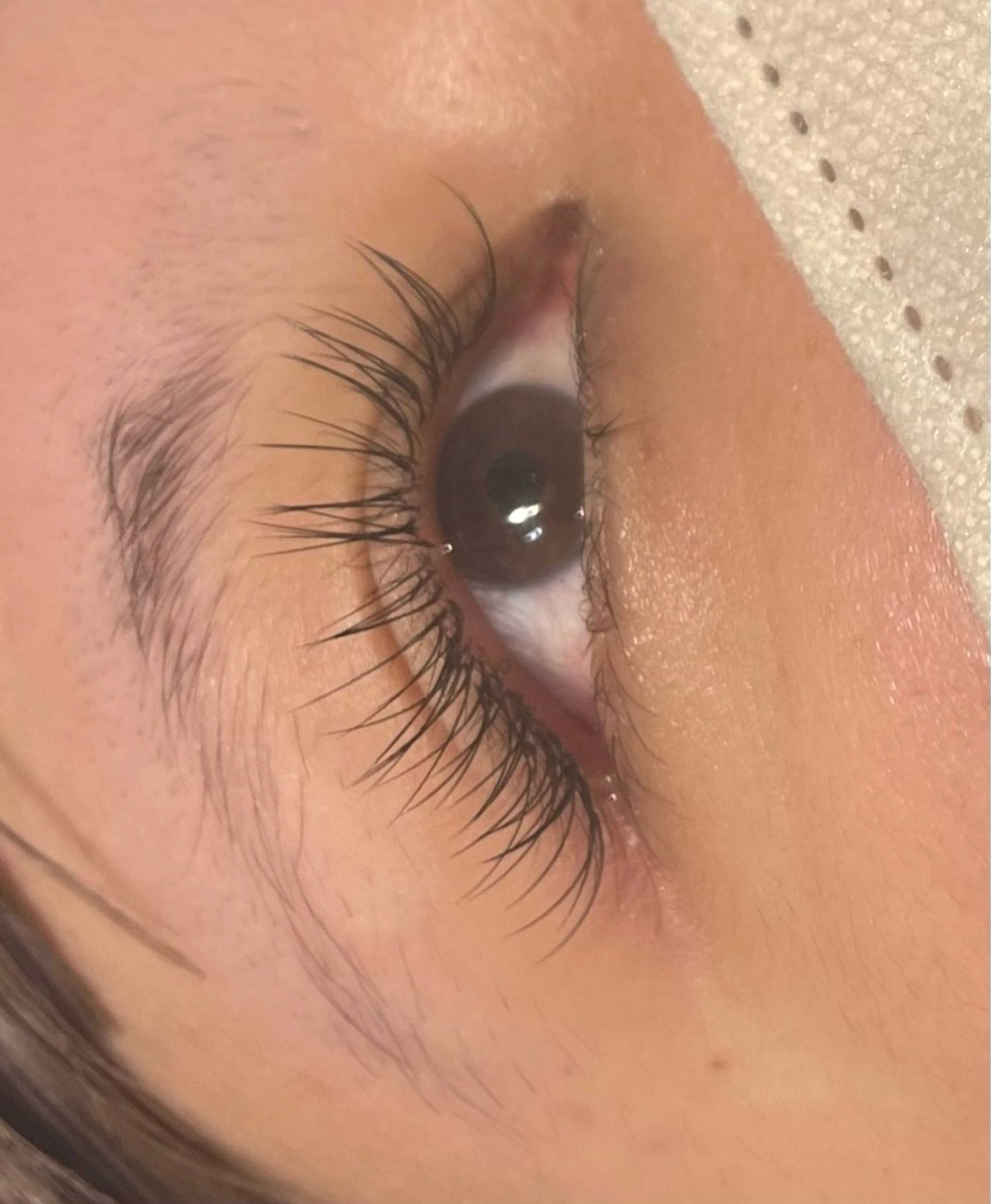 マツエク・マツパ シルク MAQUIA蒲田店 横山のマツエク・マツパデザイン