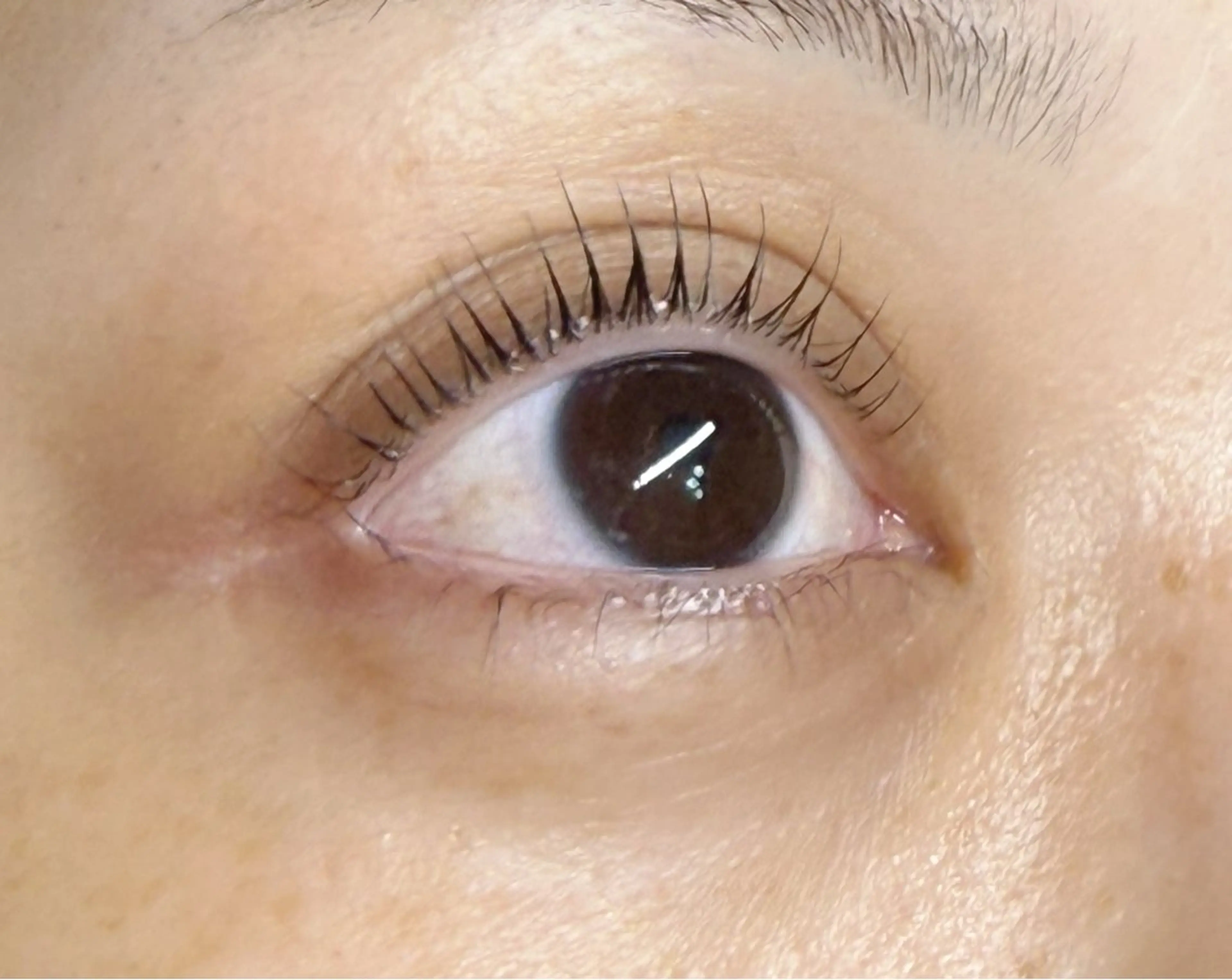 マツエク・マツパ miyu 🐈のマツエク・マツパデザイン