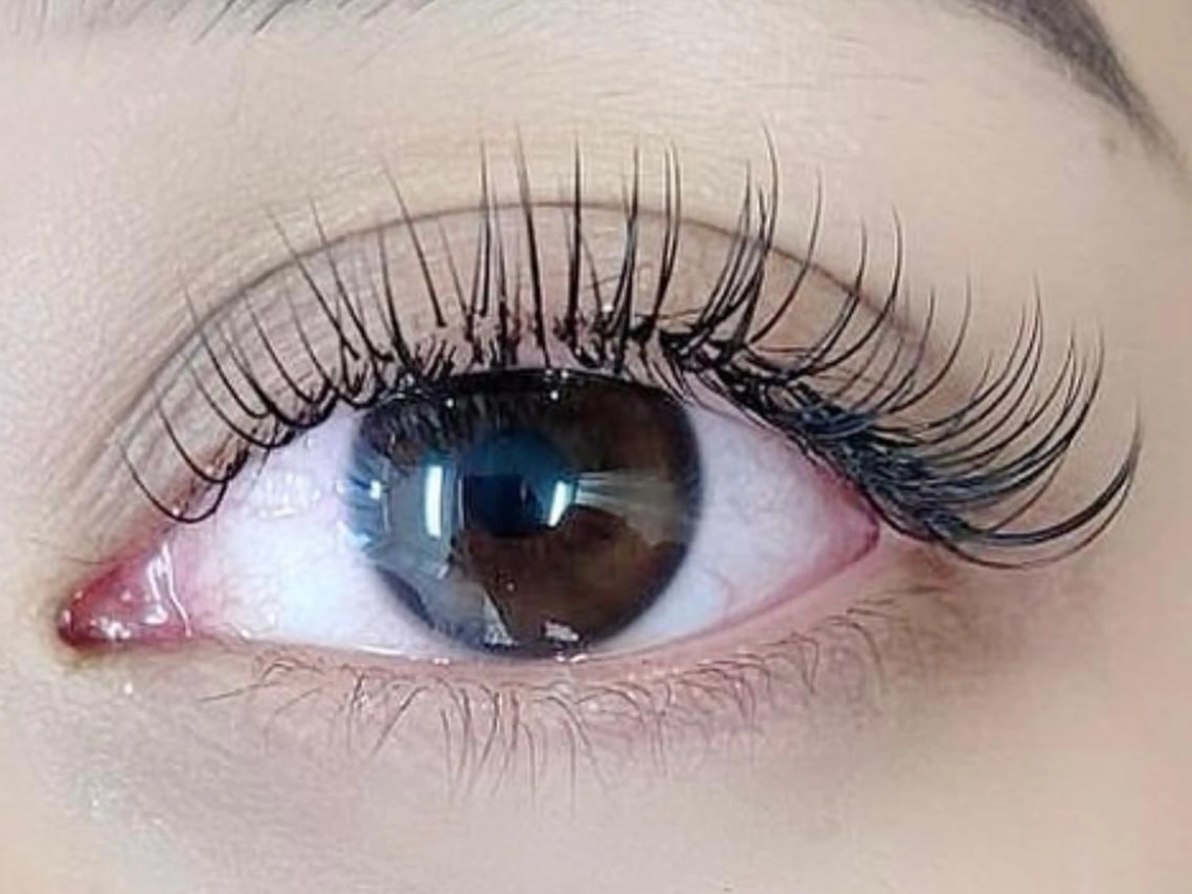 お得なクーポンLED★シングル１２０本コース★の写真