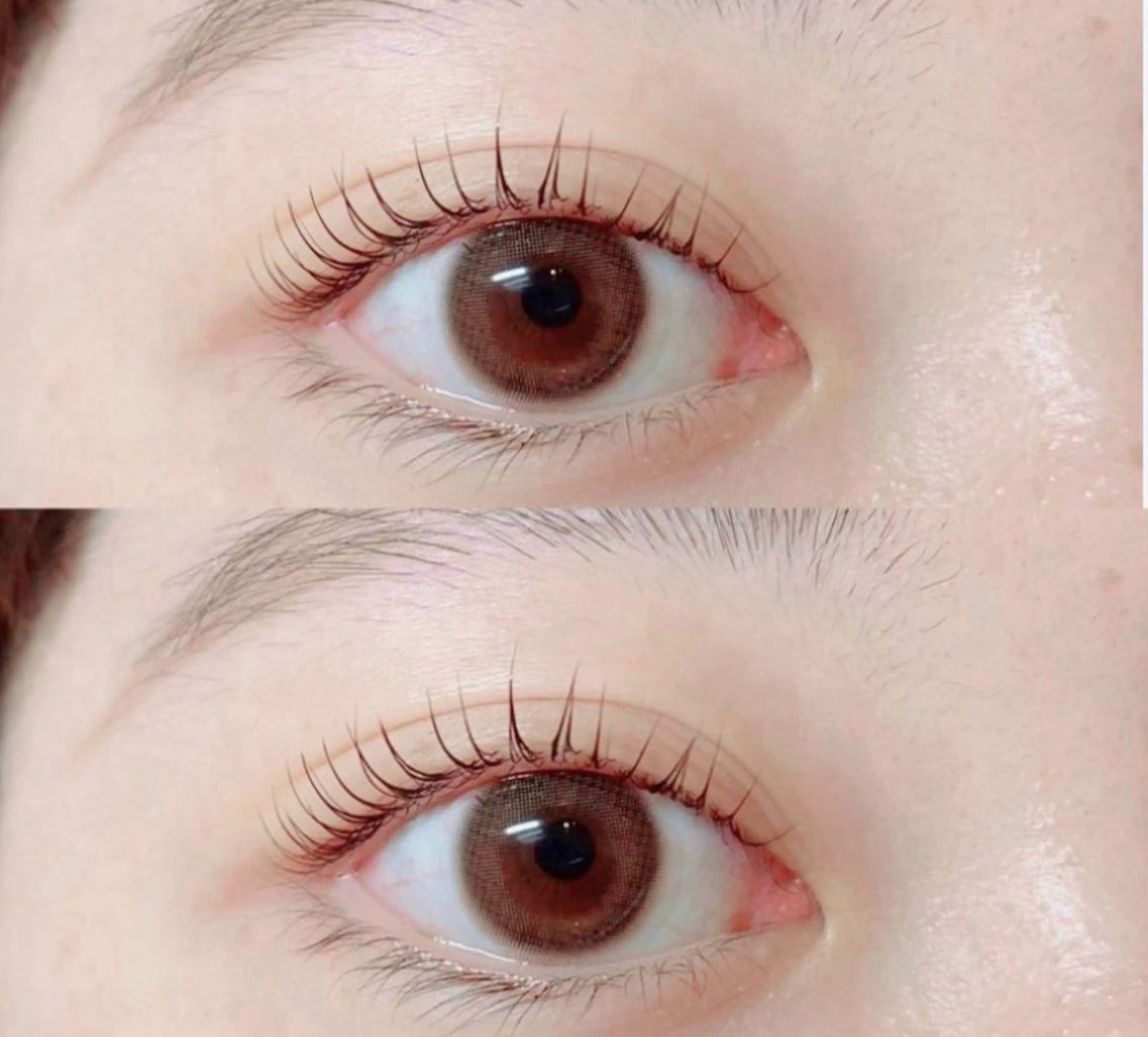 【新規ミニモ限定】アイパック＋アイシャンプーset🫧パリジェンヌorラッシュリフト🦢🤍コーティング付の写真