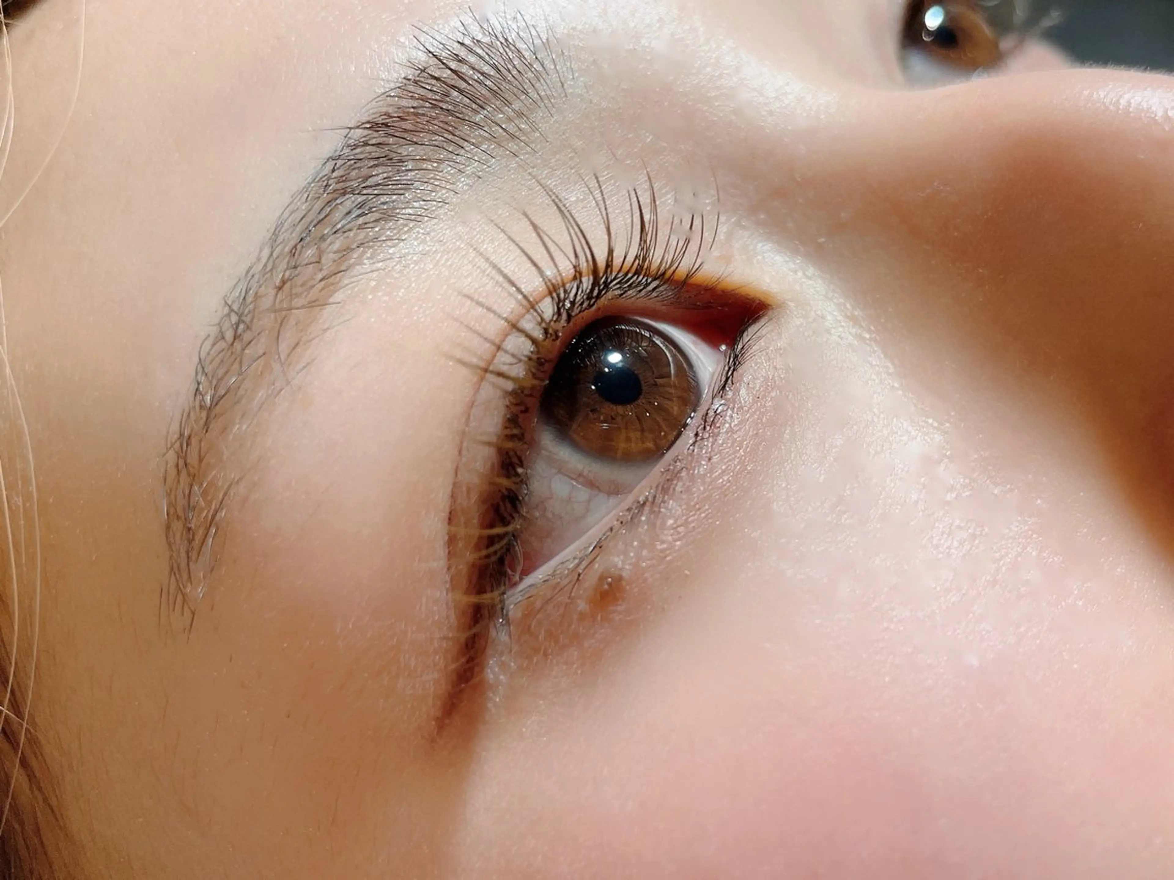 マツエク・マツパ カラーマツエク フラットラッシュ マツエク rune.🌼 kinoshitaのマツエク・マツパデザイン