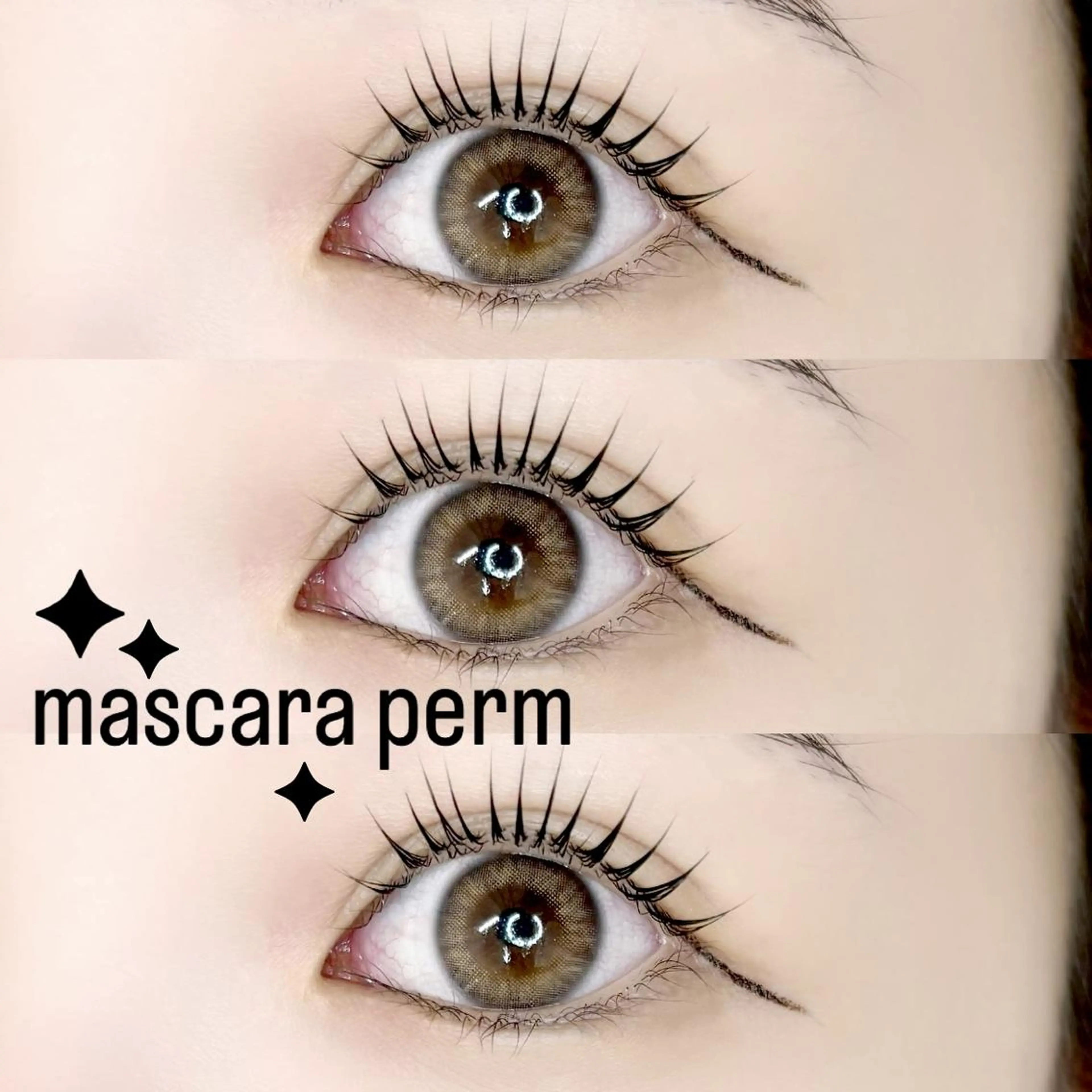 【韓国発🎀ブラックティント】マスカラパーマ🖤アイシャンプー付き¥6500の写真