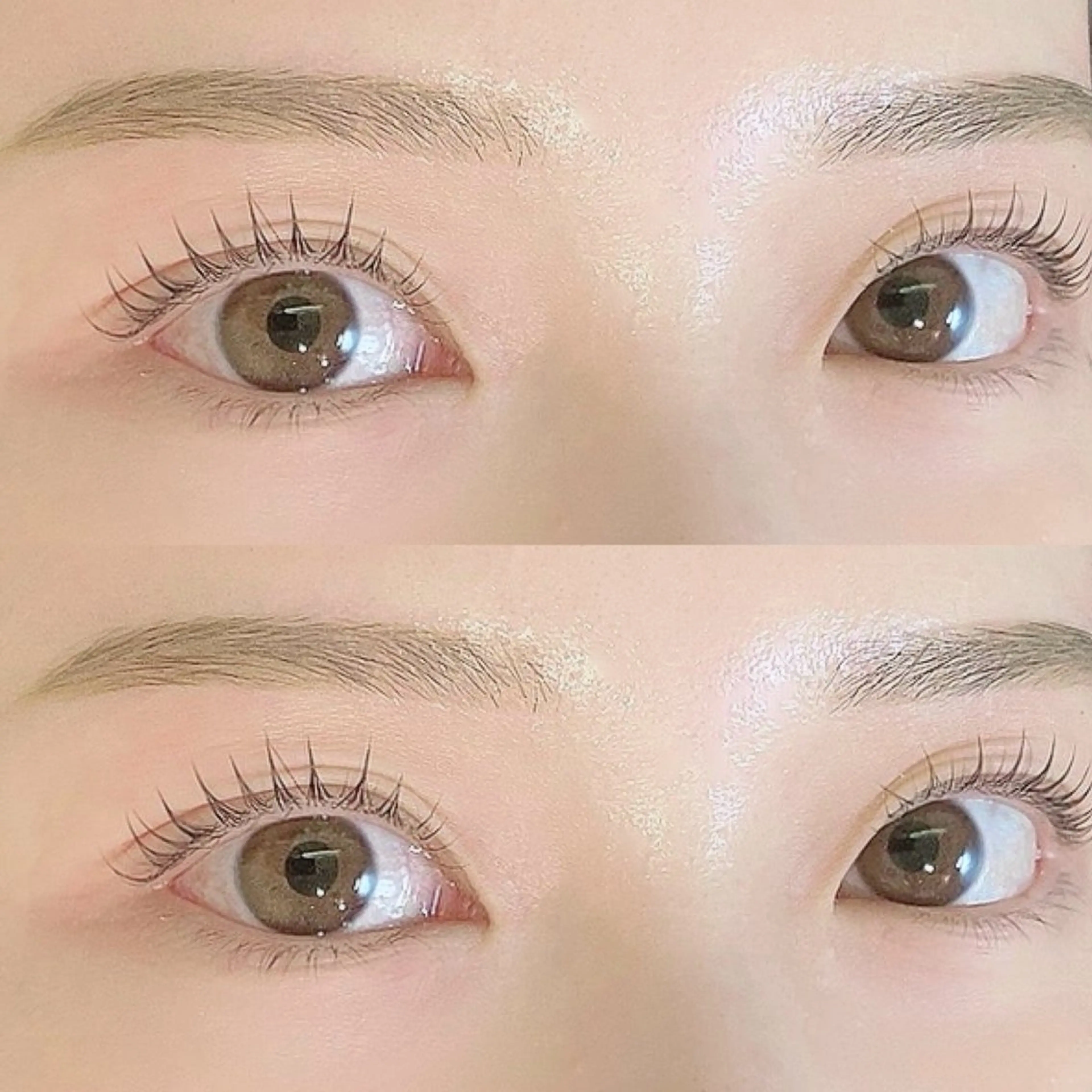 ハリウッドブロウリフト🌼(眉毛パーマ)の写真