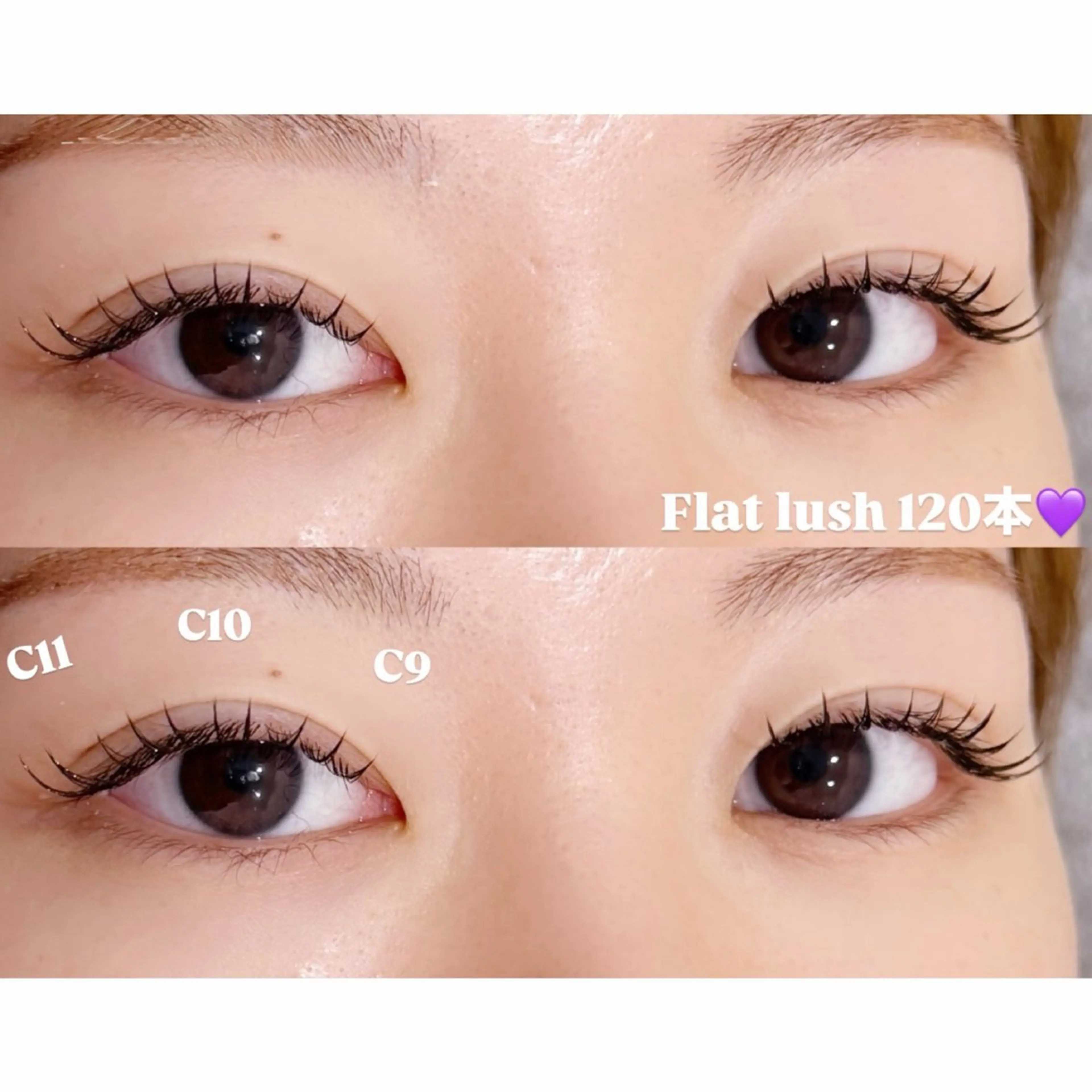 フラットラッシュ 120本 (オフ有り)の写真