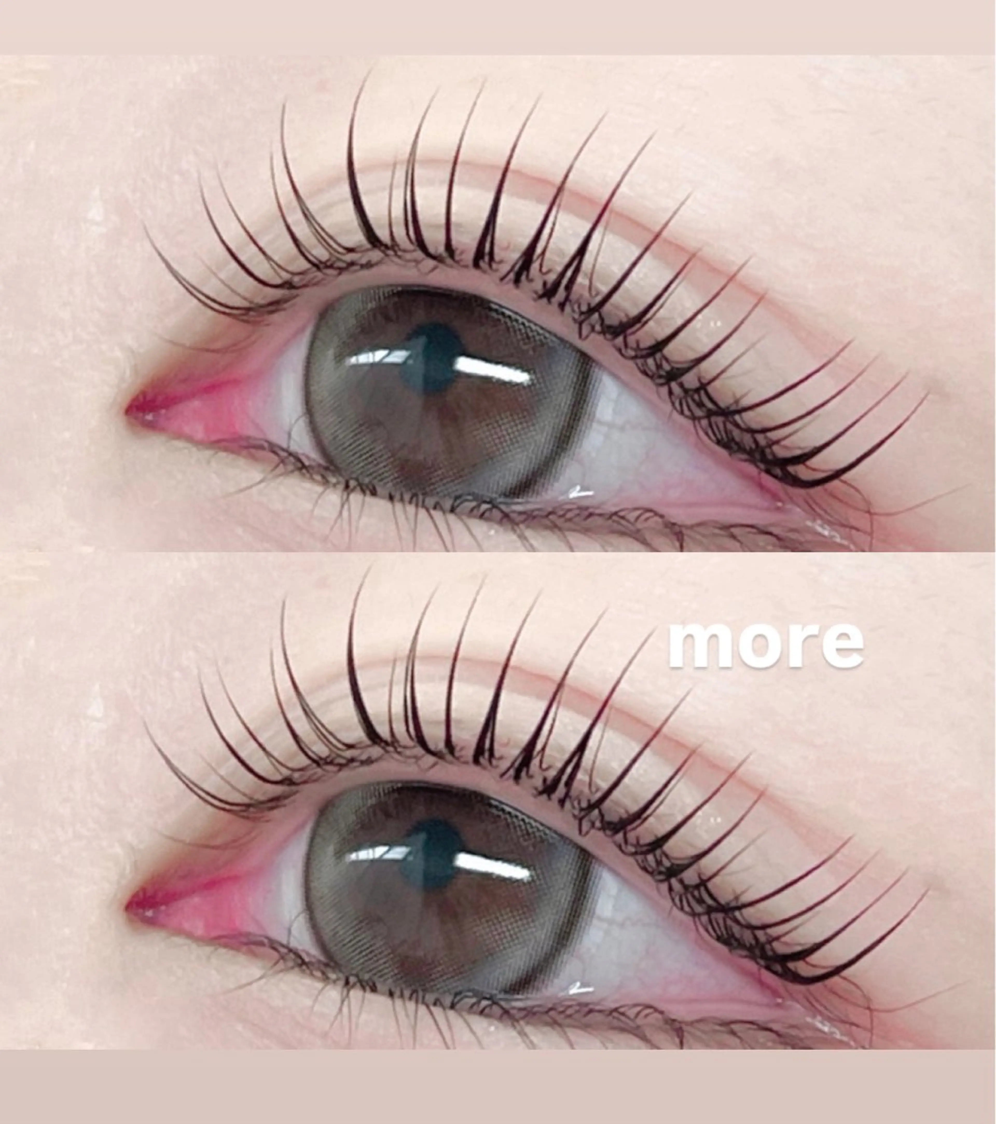 次世代まつ毛パーマ&ブラックティント(前処理+Wトリートメント+コーティング付)の写真