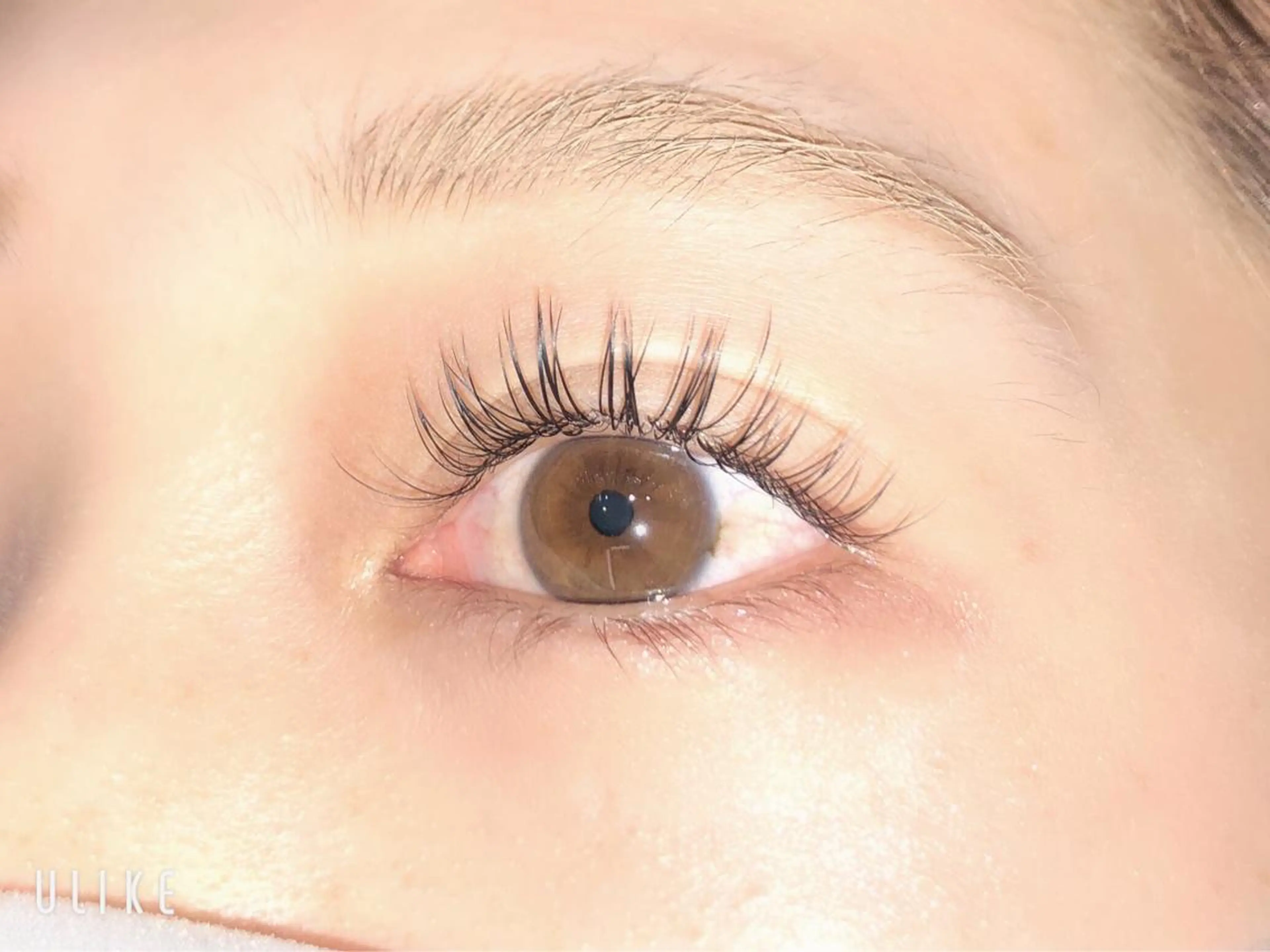 マツエク・マツパ フラットラッシュ アップワードラッシュ 眉毛専門店brow art上野店　阿部の眉毛・アイブロウイメージ