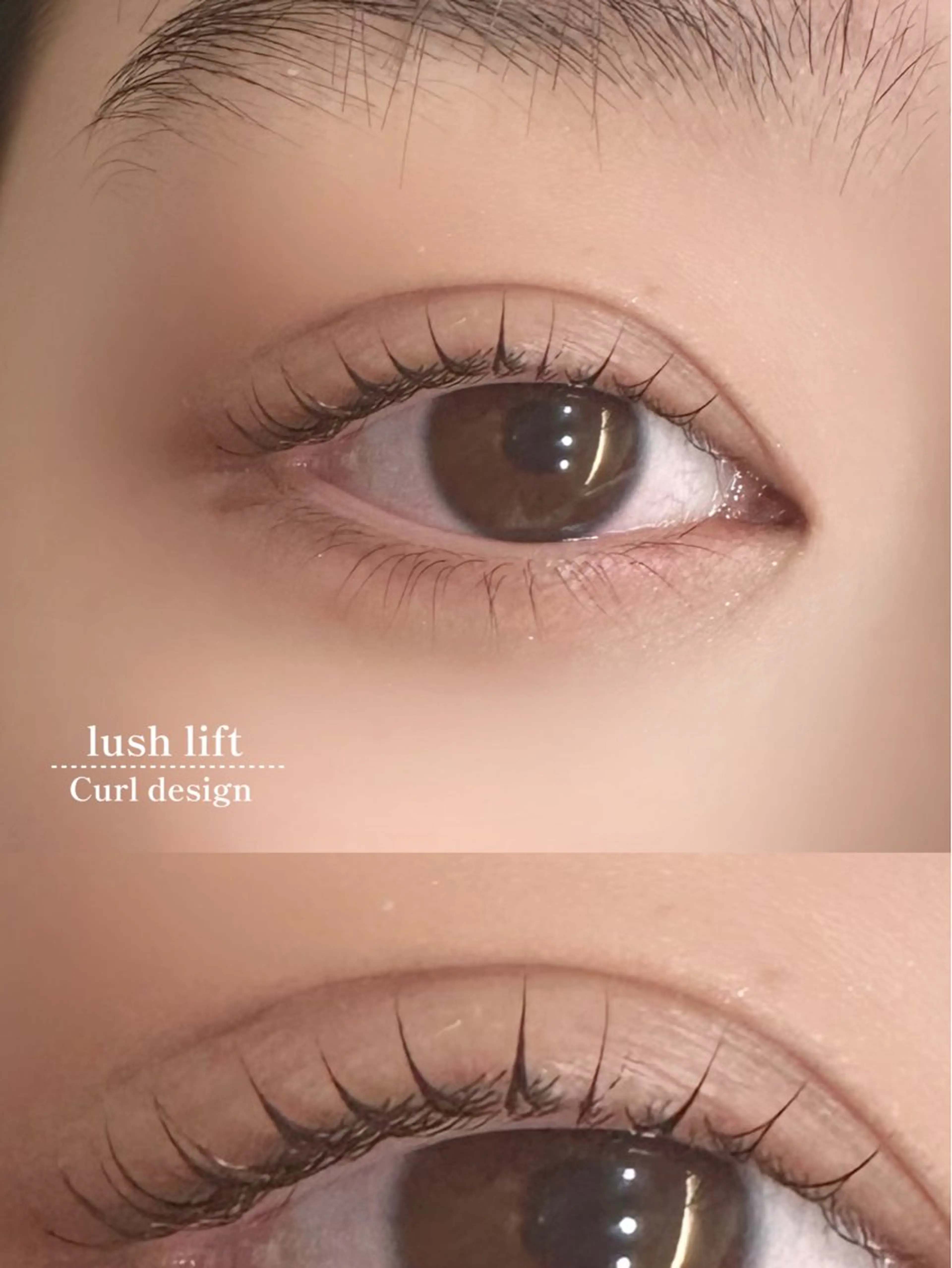 似合わせまつ毛パーマ🌀の写真