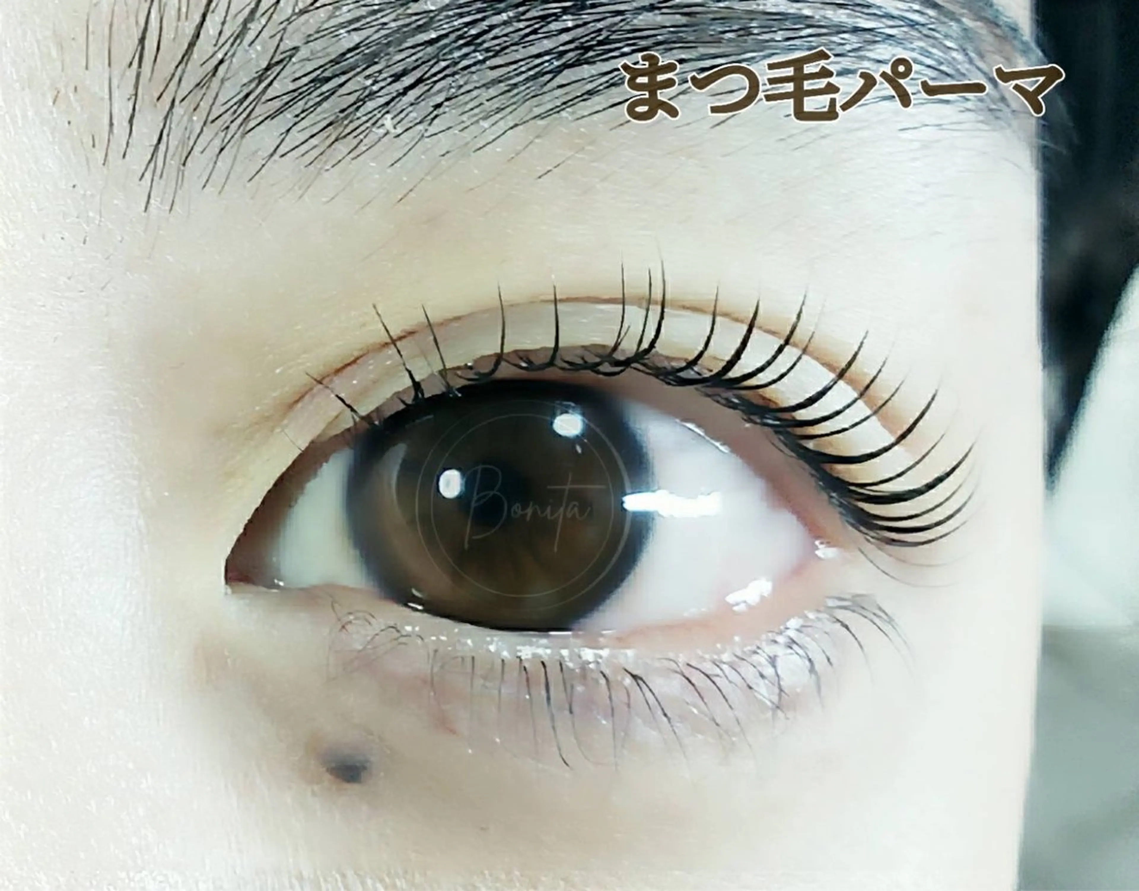 マツエク・マツパ 一重×まつ毛パーマ bonita所属・山本 マツゲのマツエク・マツパデザイン