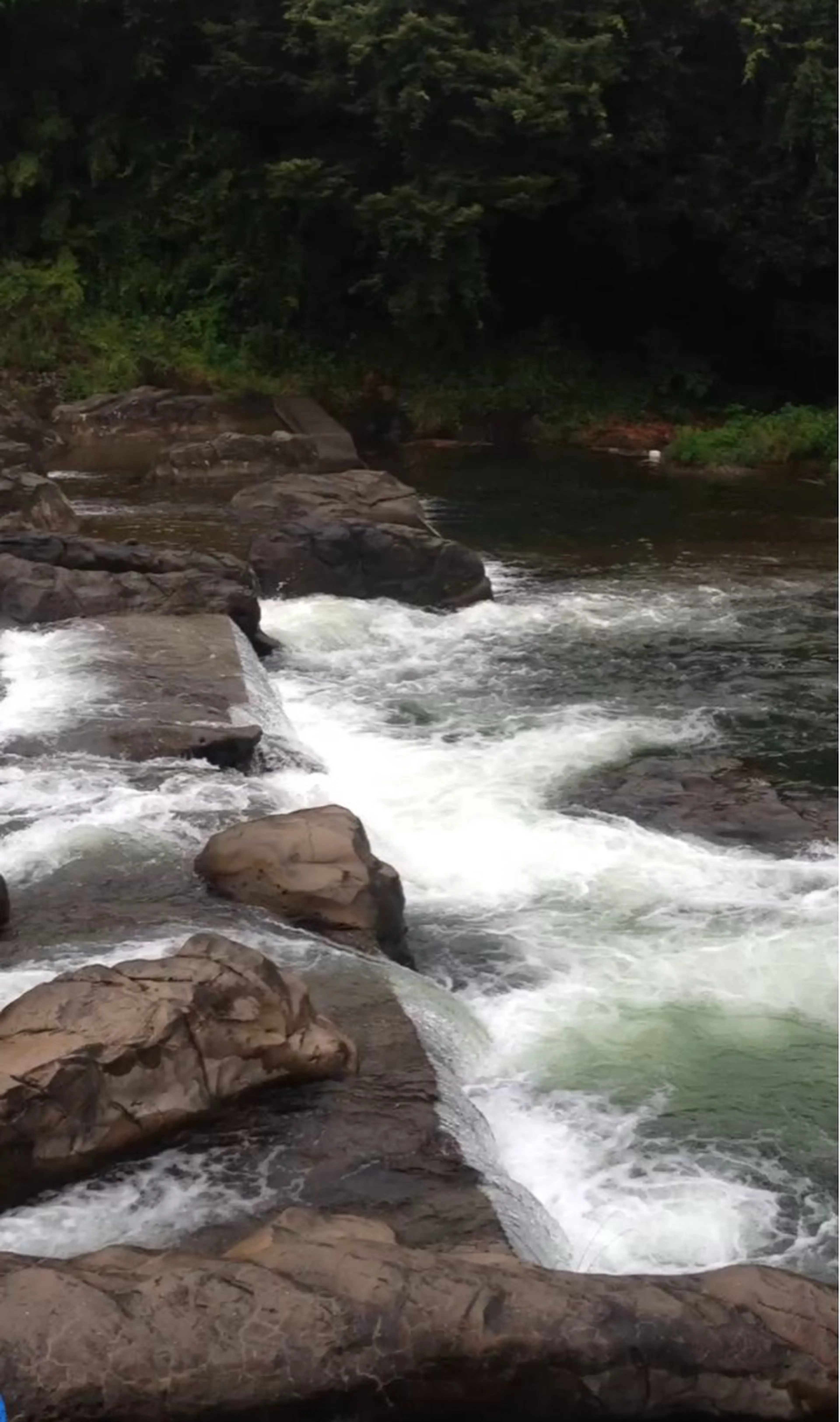 マツエク・マツパ eyelash&nail　Liora所属・Liora川越 YUIのマツエク・マツパデザイン