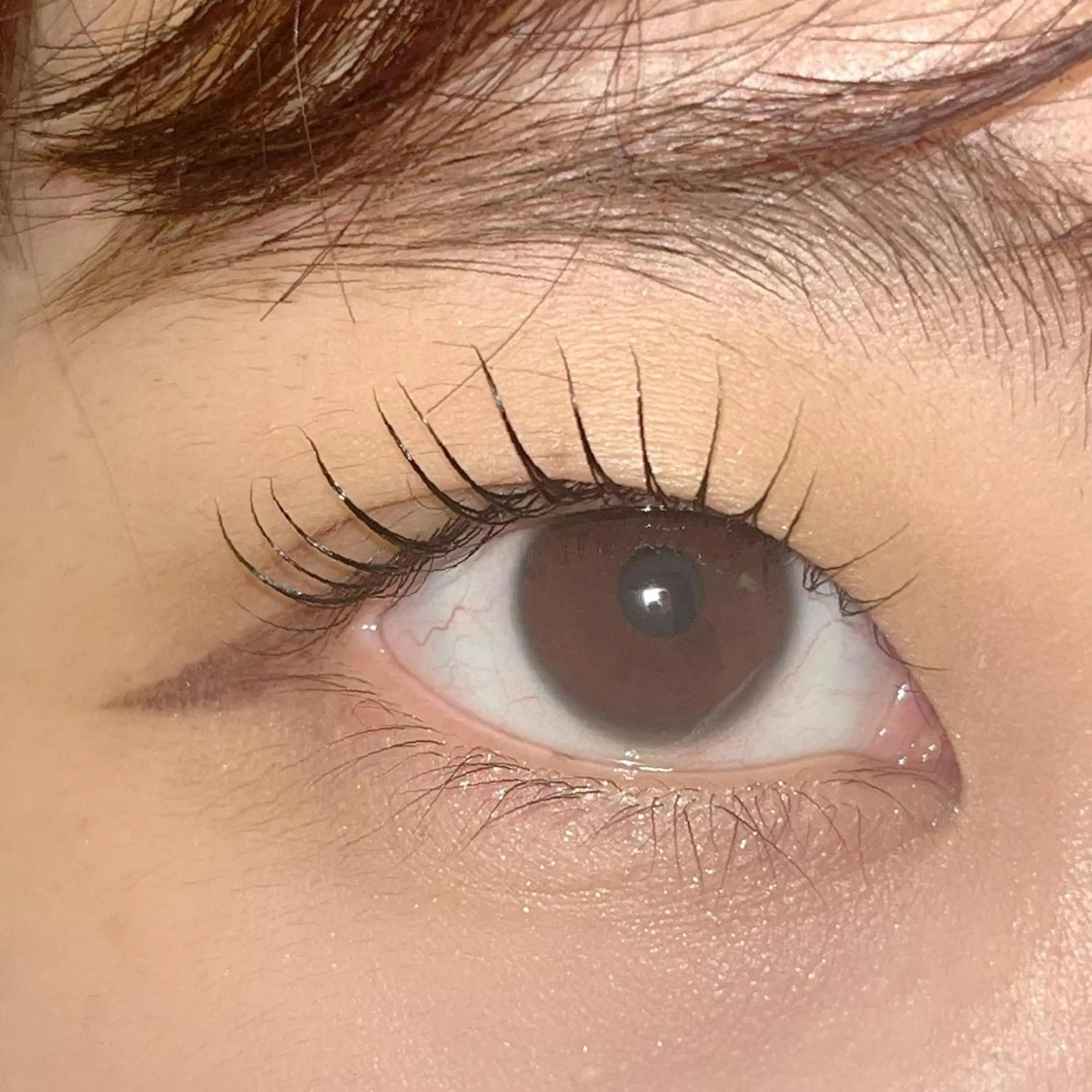 マツエク・マツパ パリジェンヌラッシュリフト まつげパーマ ai一重専門🎀束感 まつげ🫧表参道のマツエク・マツパデザイン