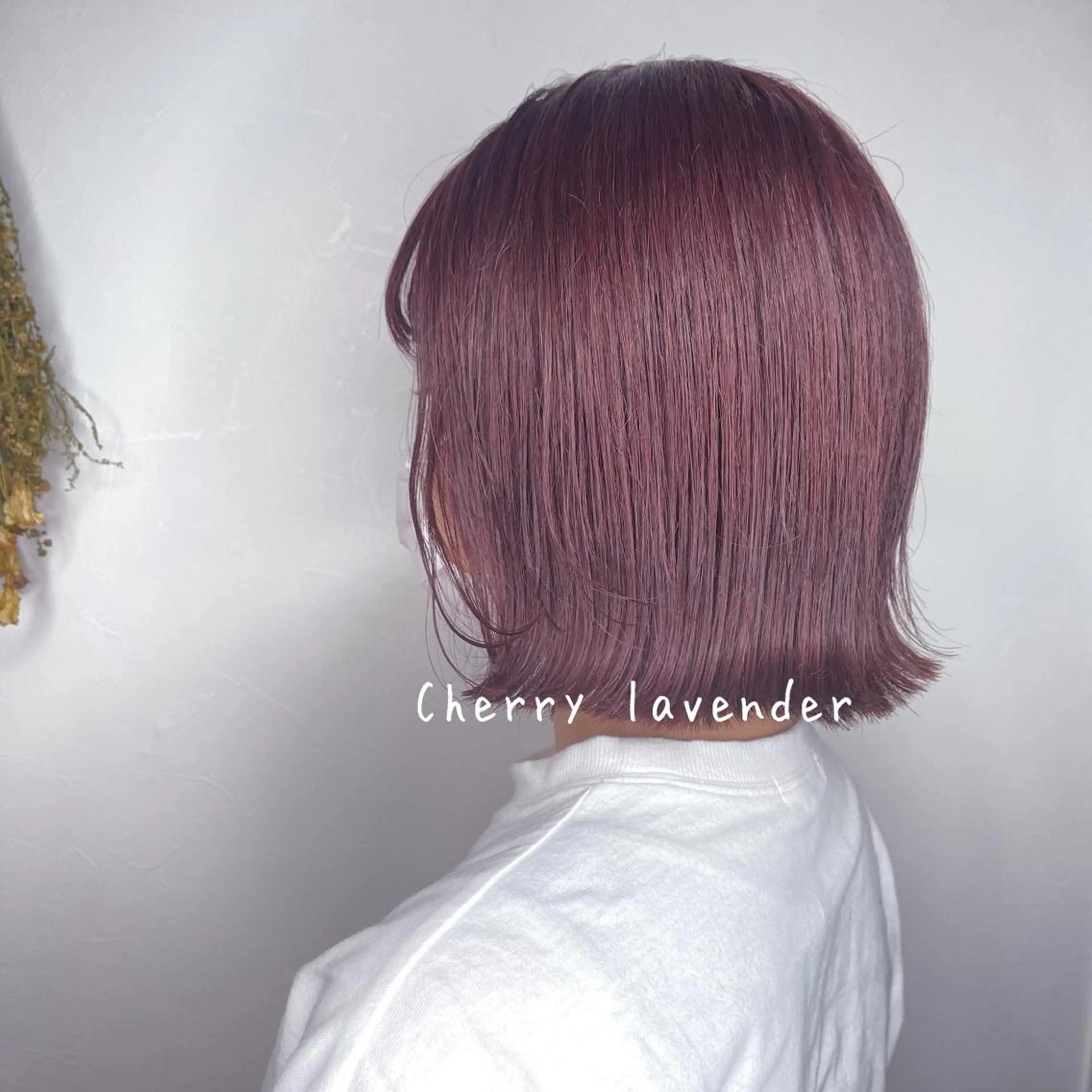 ショート カラー ブリーチ ケアブリーチ ダブルカラー ボブ カット ヘアカラー トリートメント Jewel Box所属・髪質改善ストレート 特化⭐️杉本奈稀沙のヘアスタイル