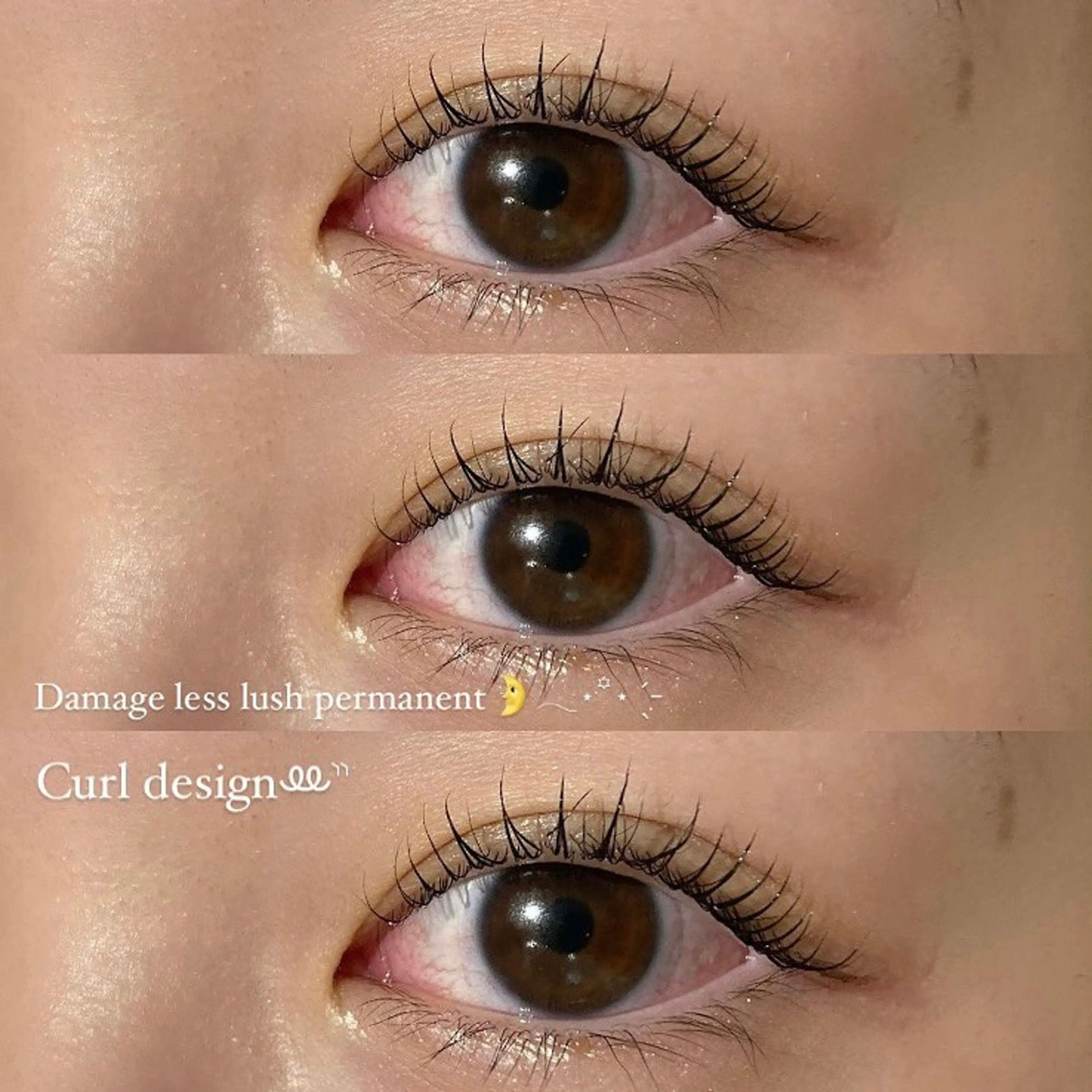 当日限定💫⭐︎ダメージレスまつげパーマ￥3850［口コミ必須］の写真