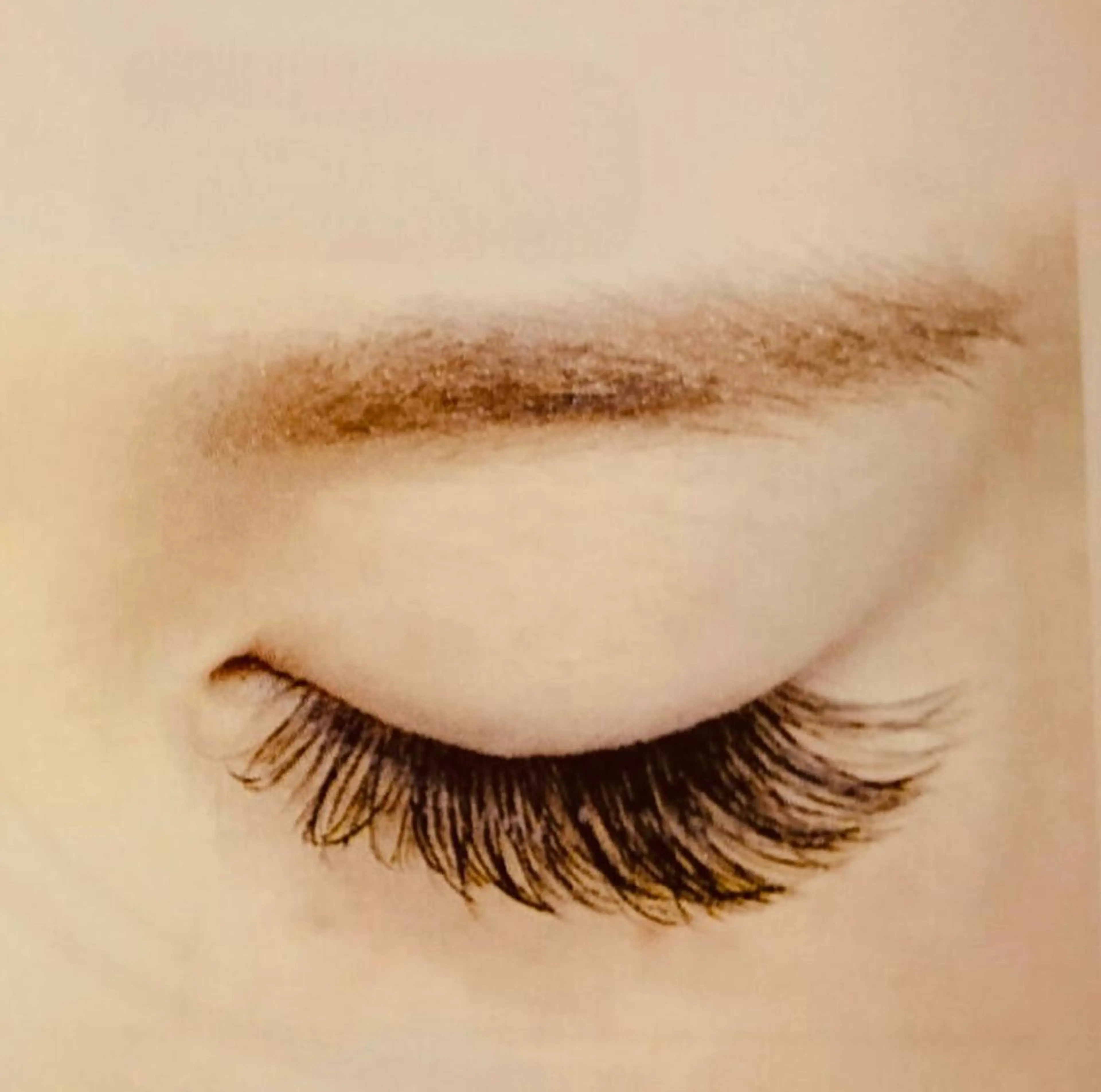 マツエク・マツパ ボリュームラッシュ Cil  Belle 城川の眉毛・アイブロウイメージ