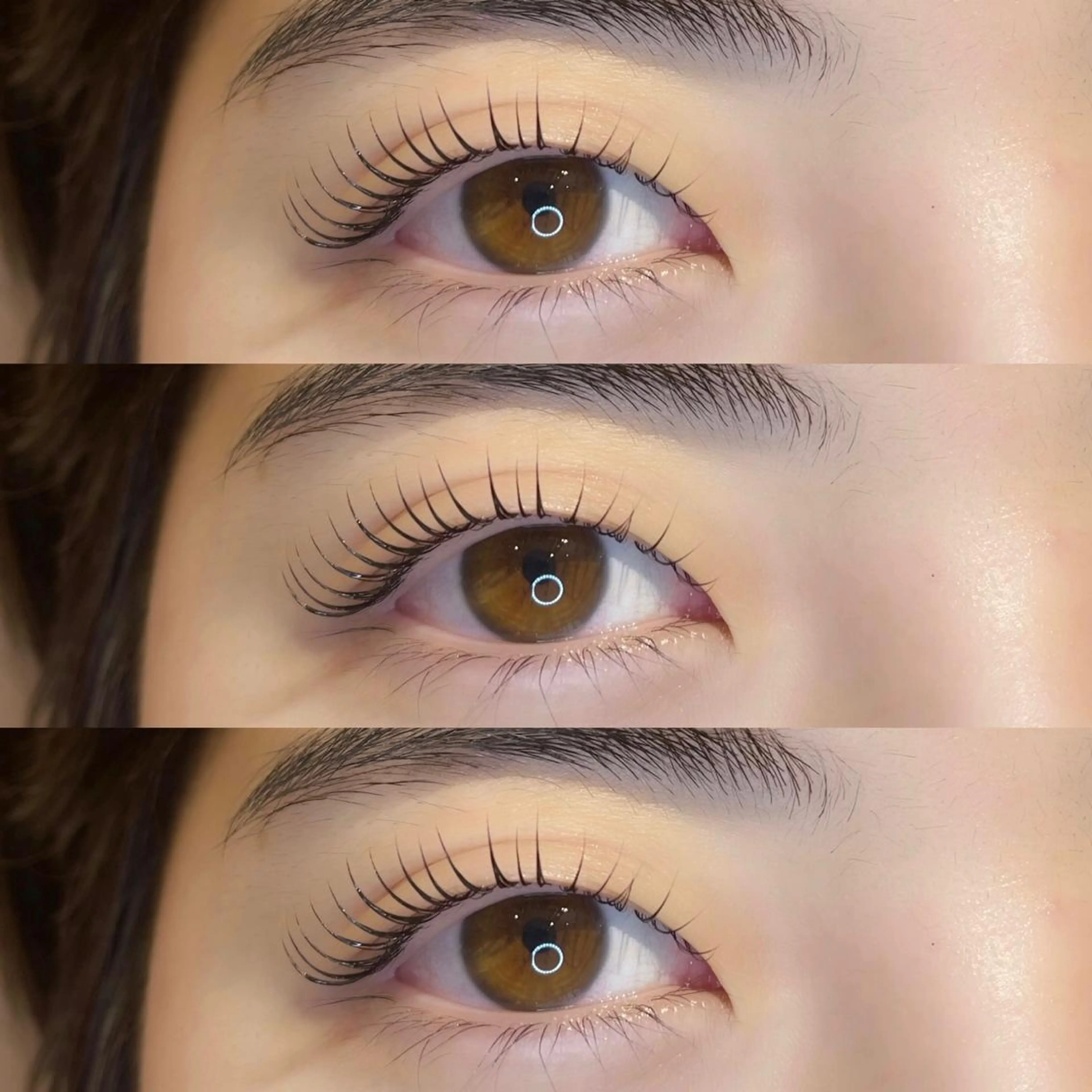 ⭐️超お得🉐⭐️パリジェンヌ（上）✖︎アイブロウWax【ラッシュリフトも含む】の写真