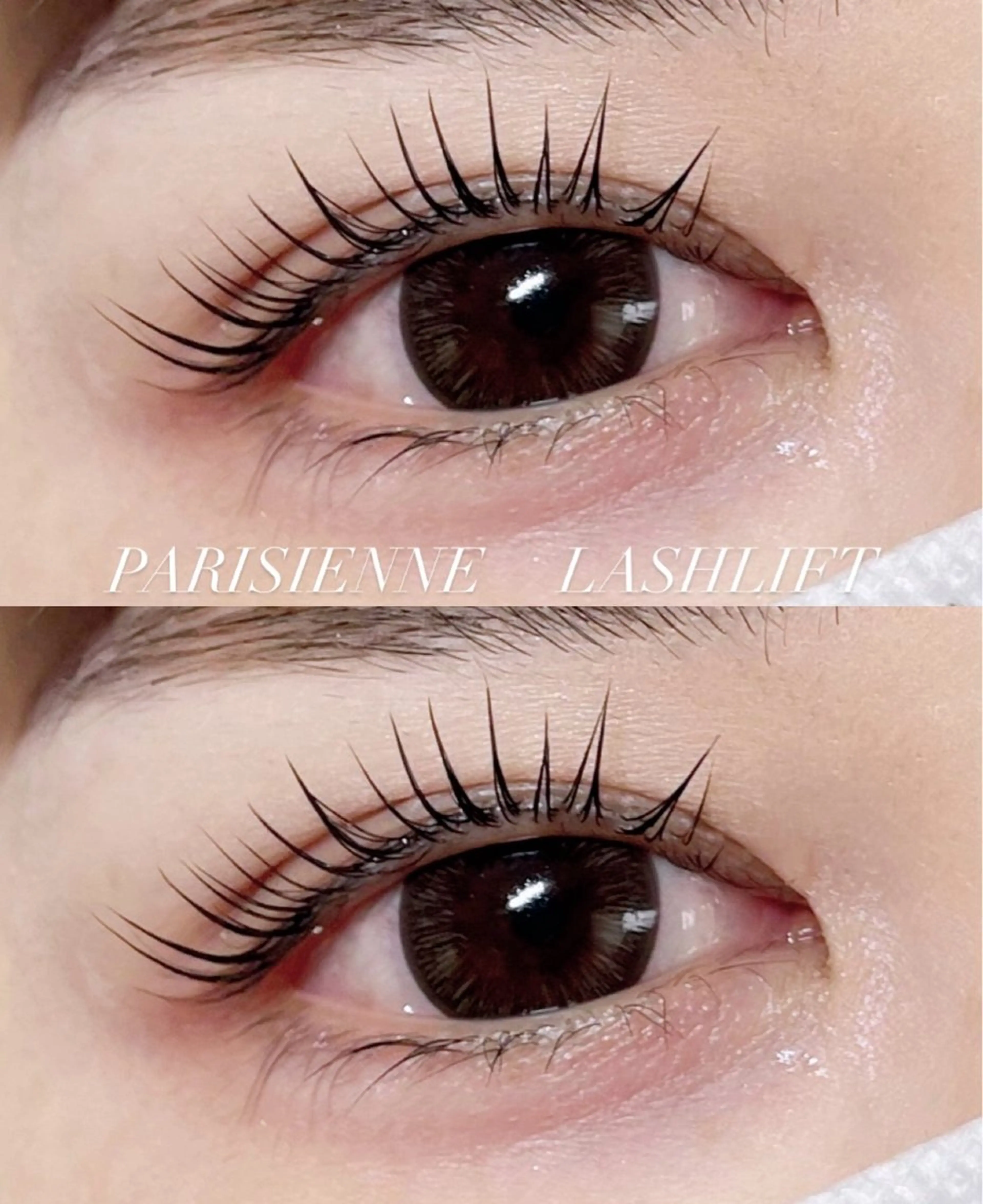 当日限定‼️パリジェンヌ（上）🎀ケラチン導入付き🎀の写真