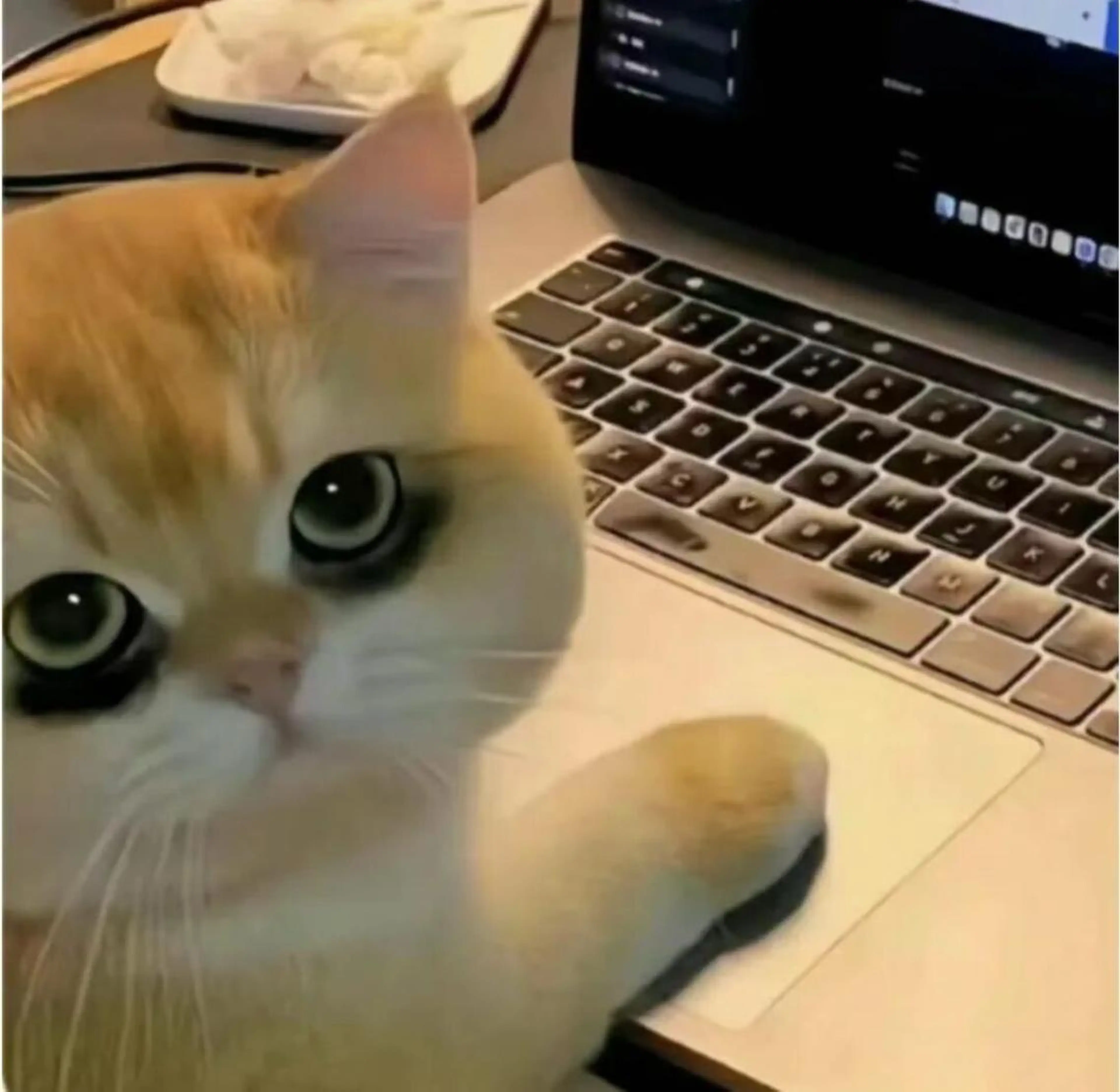 ショート キッズ み おのネイルデザイン