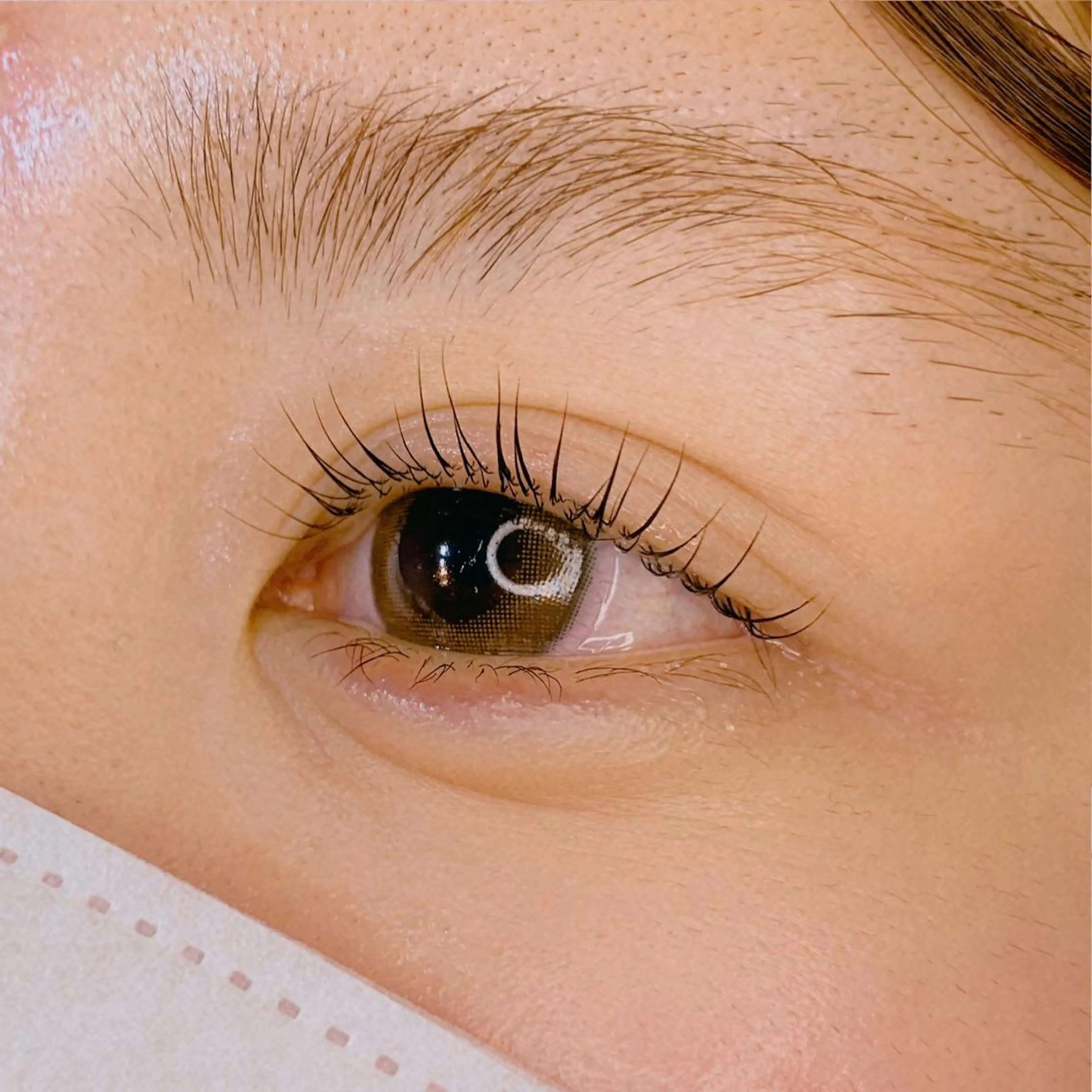 マツエク・マツパ パリジェンヌラッシュリフト Celeste Venus所属・🧸Celeste Venusのマツエク・マツパデザイン