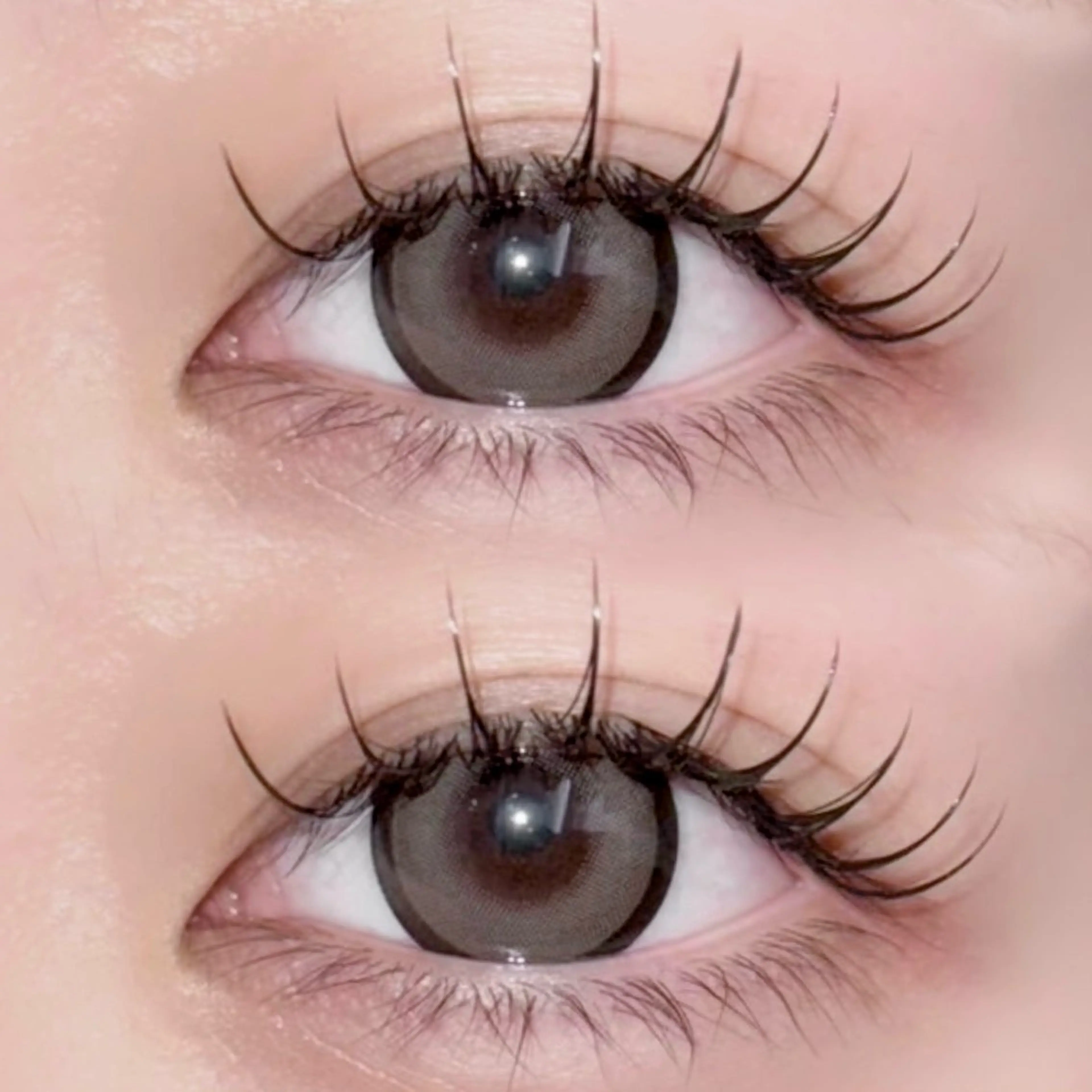 フラットラッシュ80～100本  高級コーティング込（オフなし）の写真