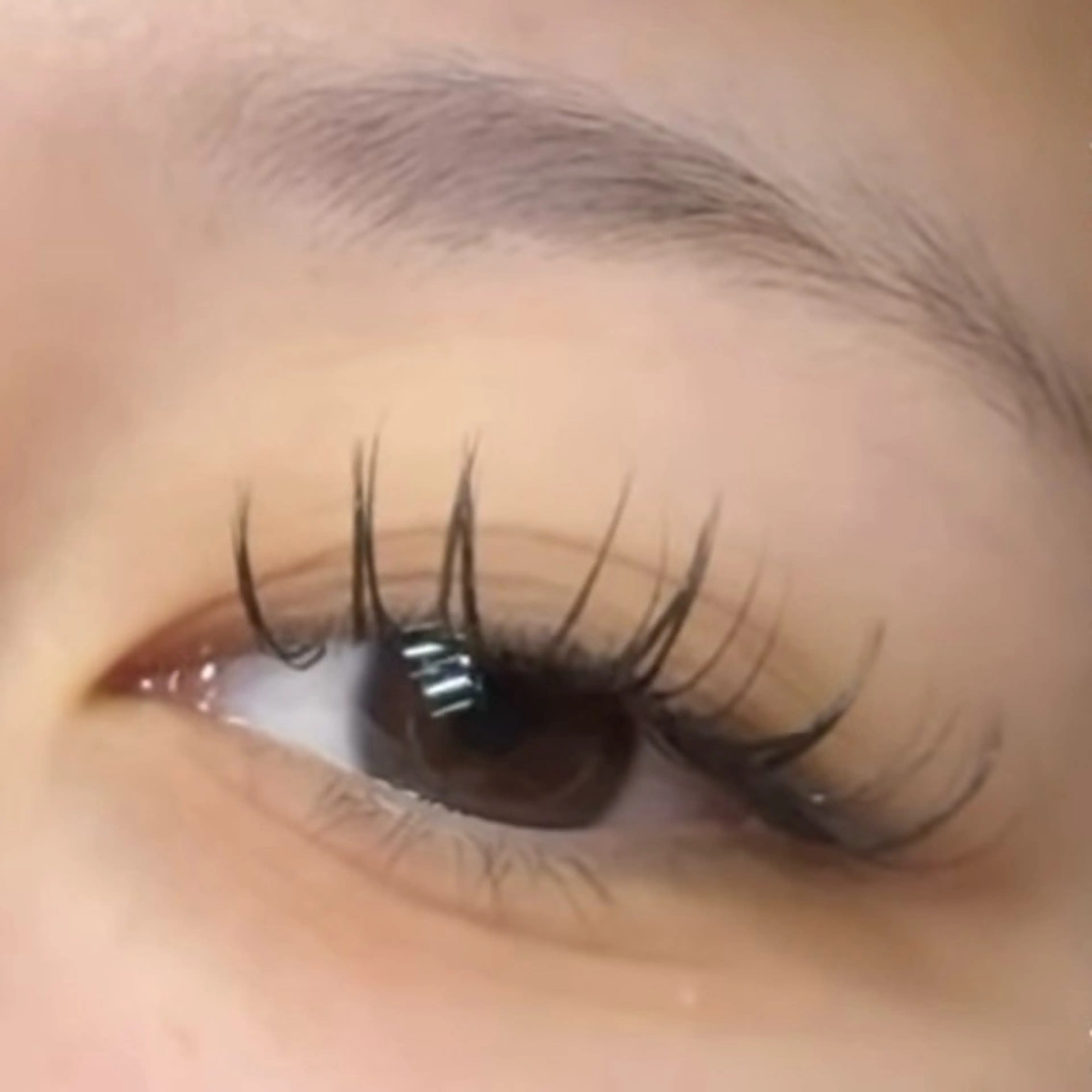 マツエク・マツパ MAQUIA 大牟田店 福山のマツエク・マツパデザイン