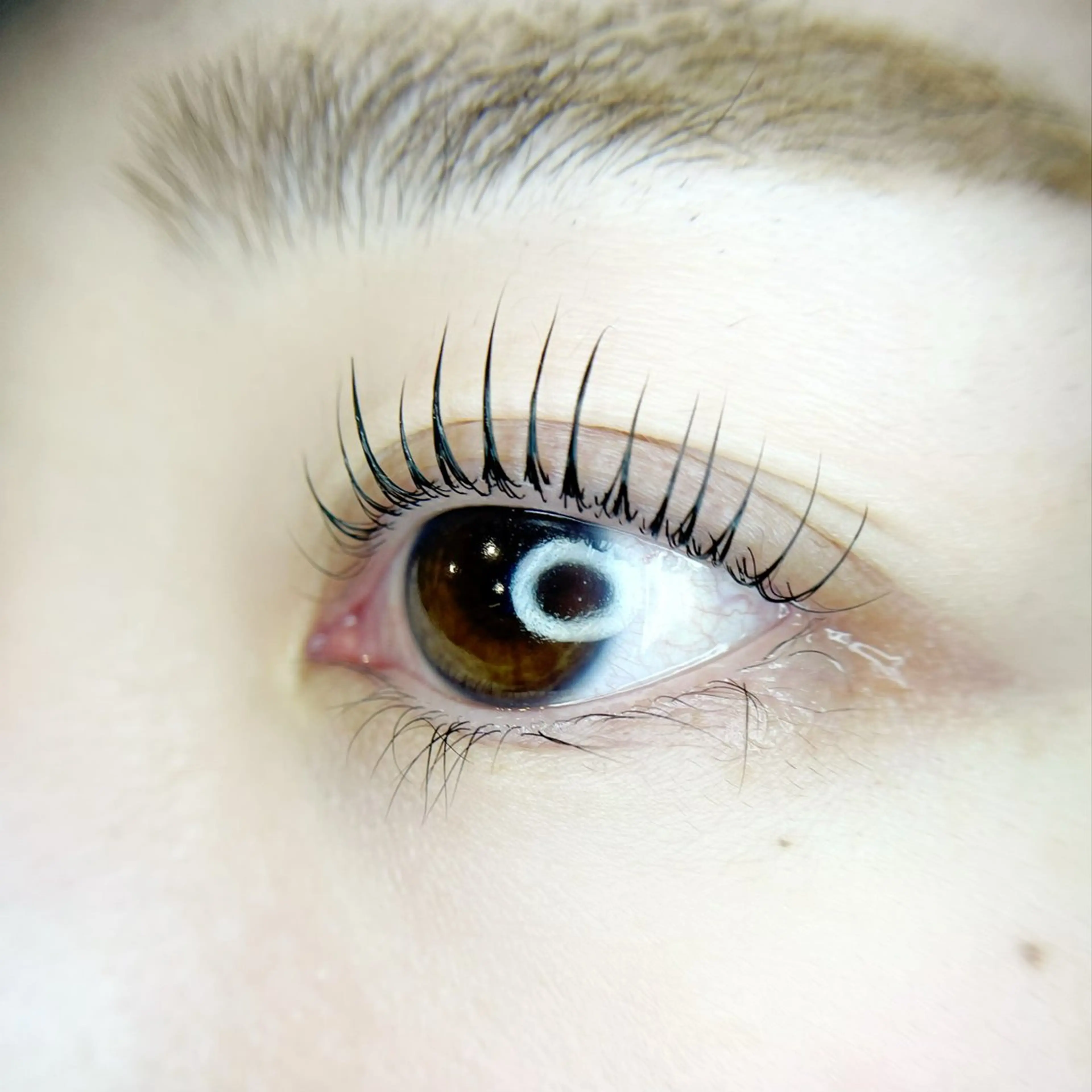 マツエク・マツパ マツパ SASAKI JUNのマツエク・マツパデザイン