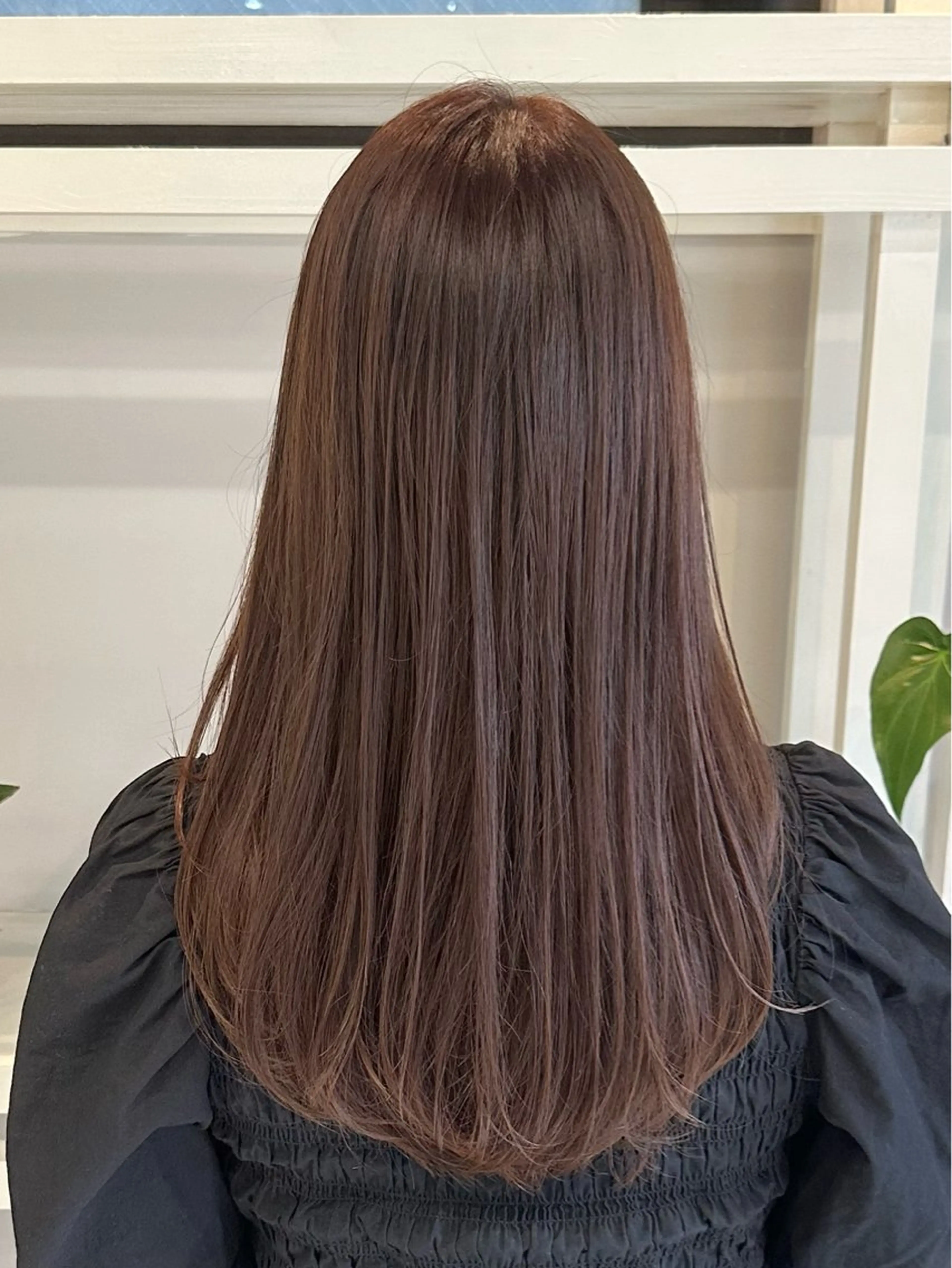 セミロング カラー カット ヘアカラー トリートメント 透明感カラー/ボブ /佐藤伶のヘアスタイル
