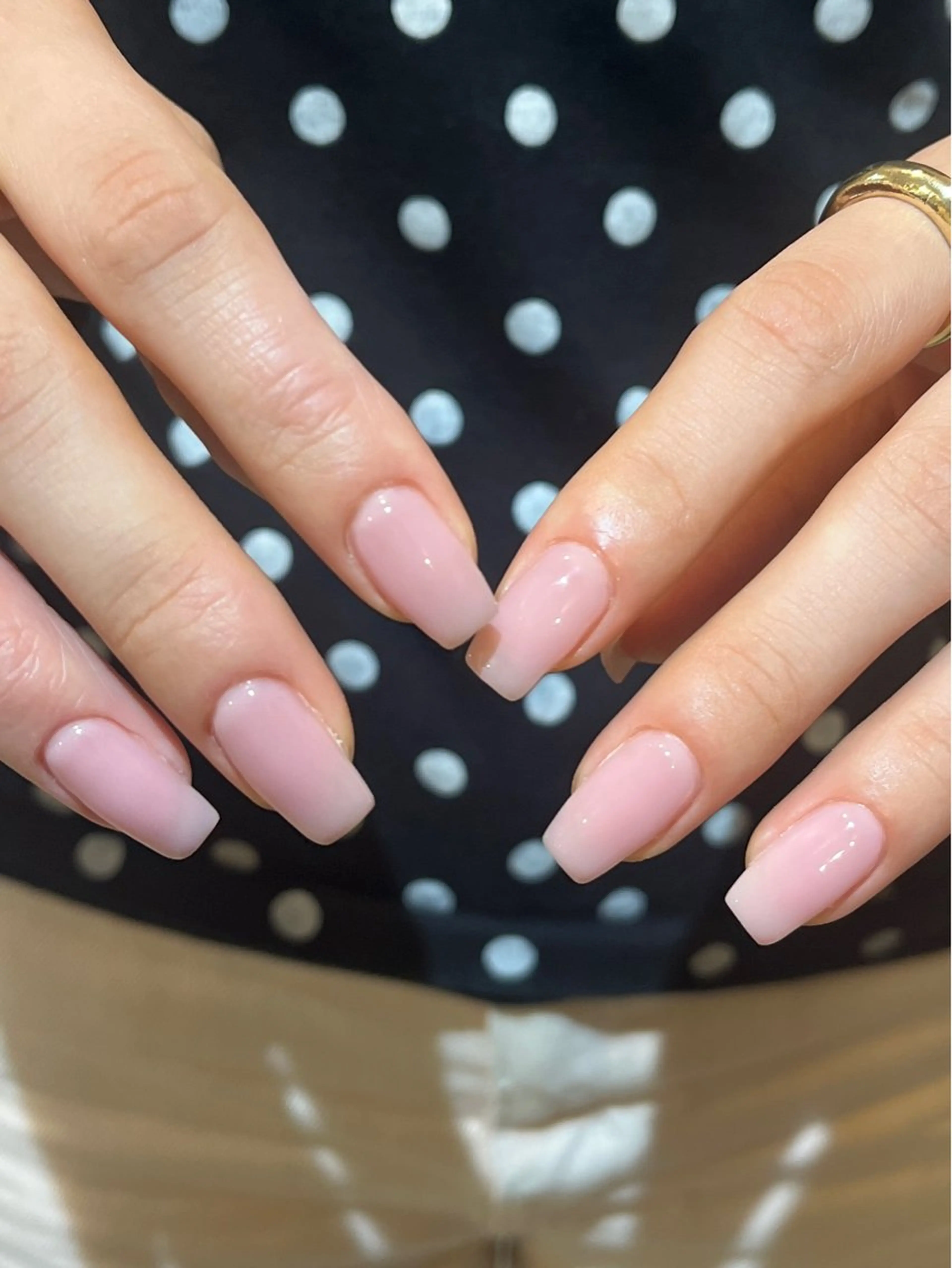 オフのみの写真