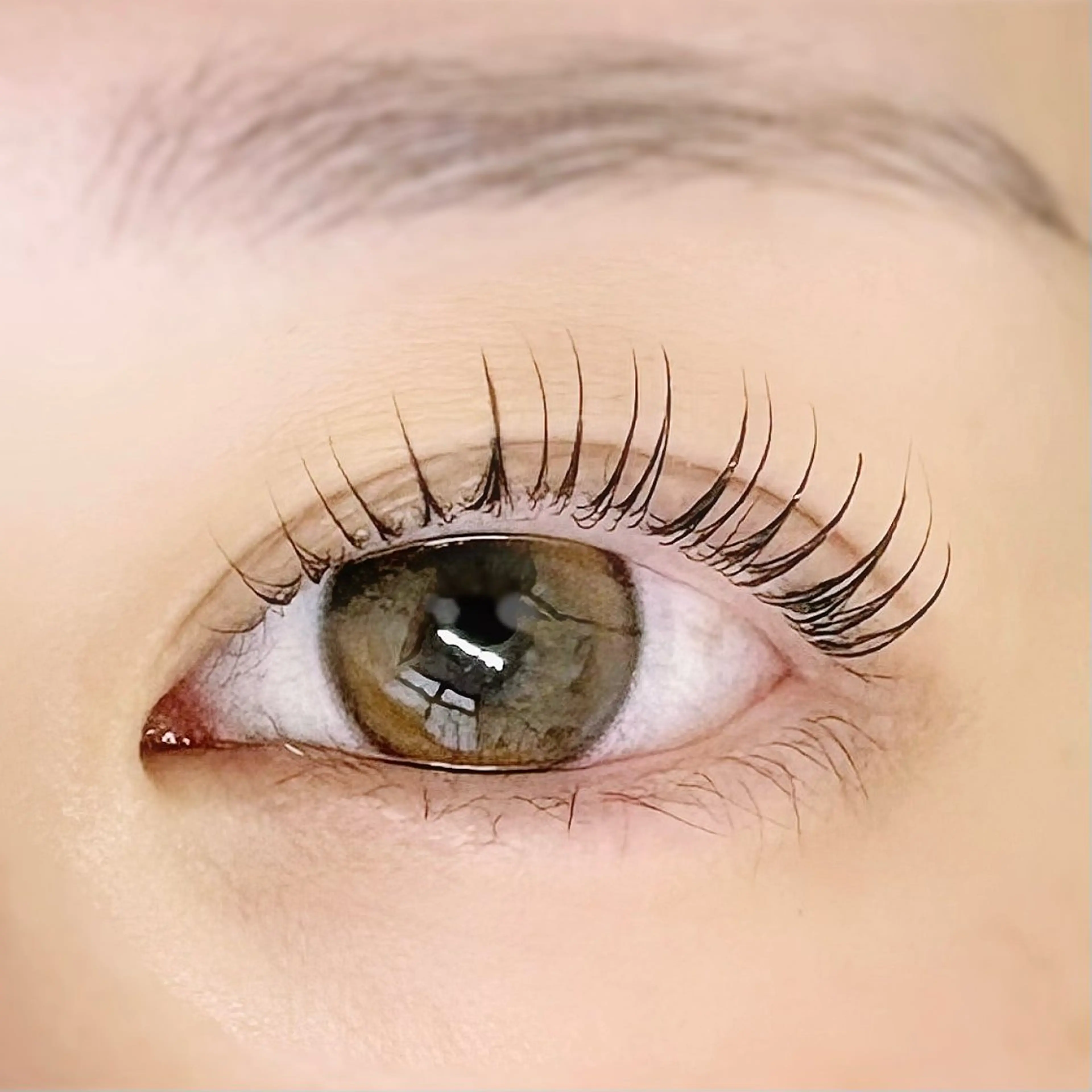 🦋3step 濃密トリートメント＆まつ毛カールの写真