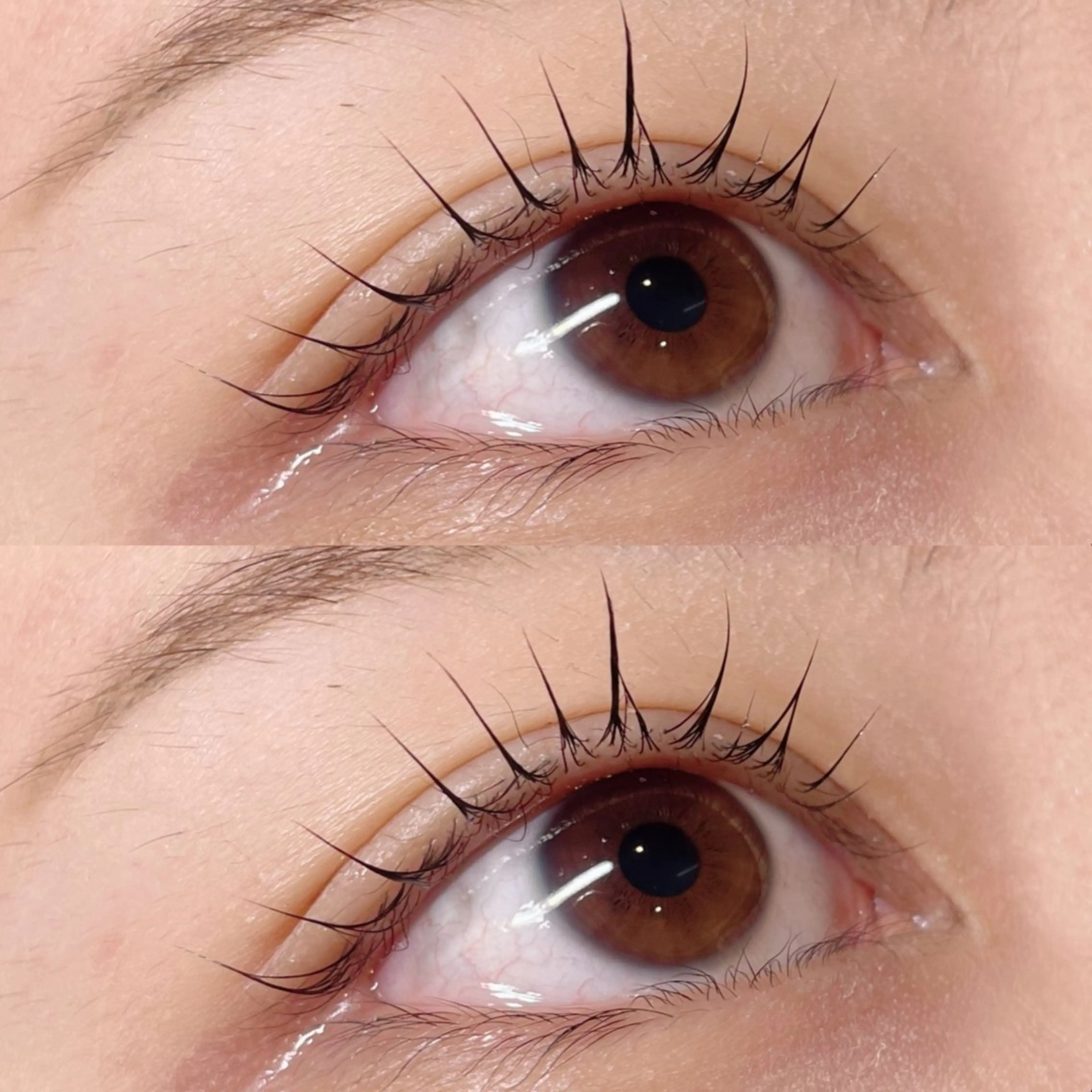 マツエク・マツパ 束感まつ毛 パリジェンヌラッシュリフト cerisier mio/名古屋/黒川のマツエク・マツパデザイン