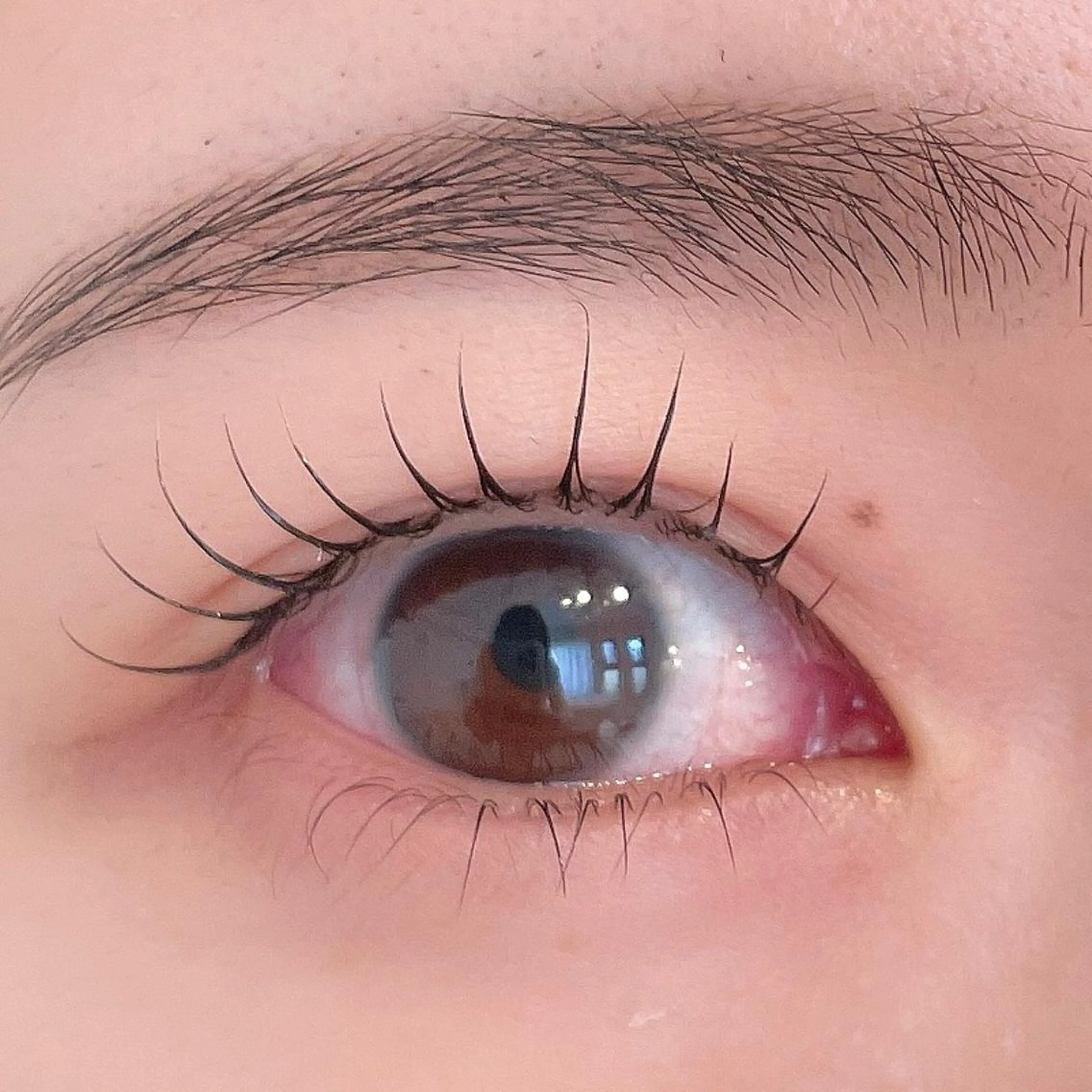 マツエク・マツパ ant_u🌷 arisaのマツエク・マツパデザイン