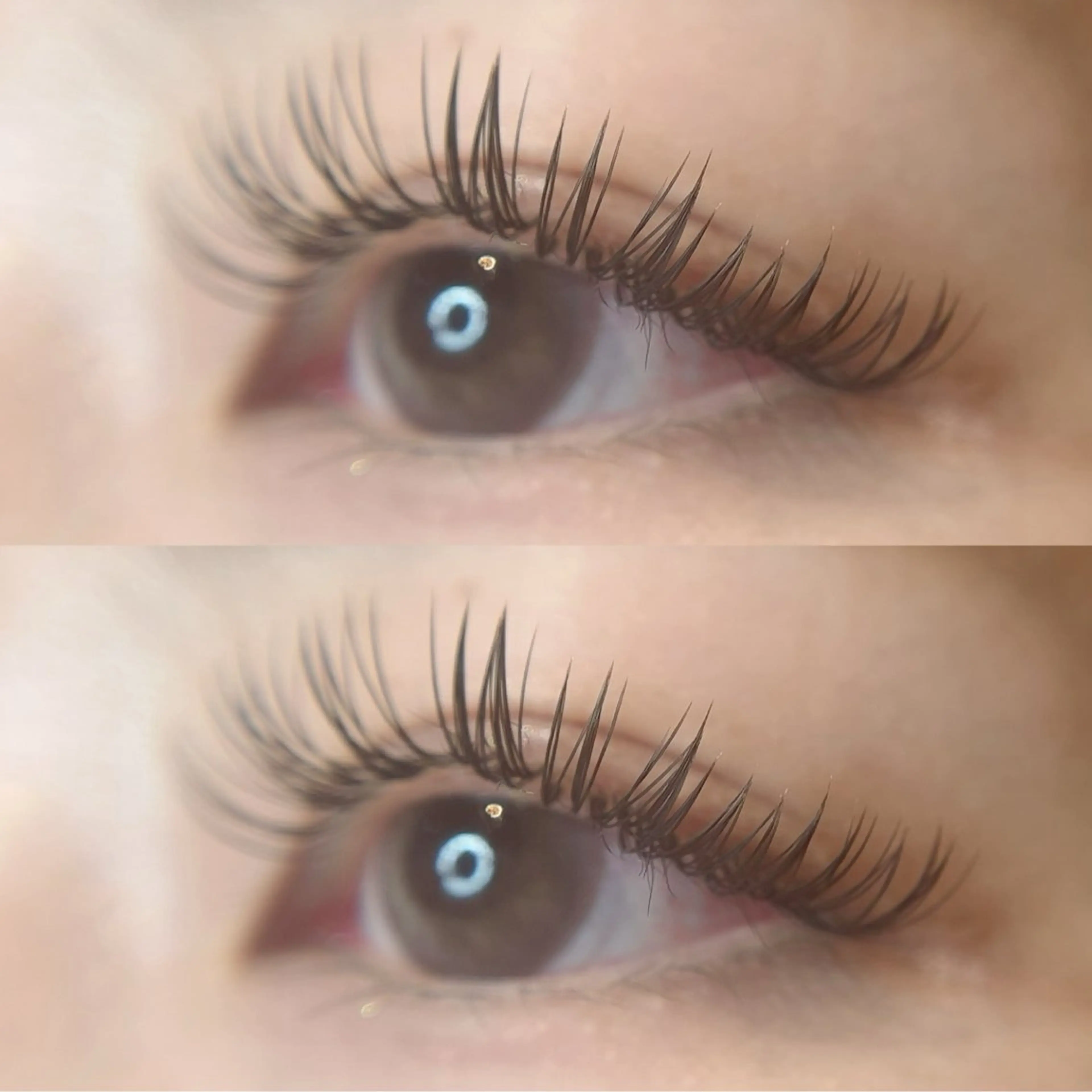 【8月限定🚿】♡抜群の持続力パーフェクトラッシュ140~160本🤎※詳細は必ず補足説明をご覧下さいの写真