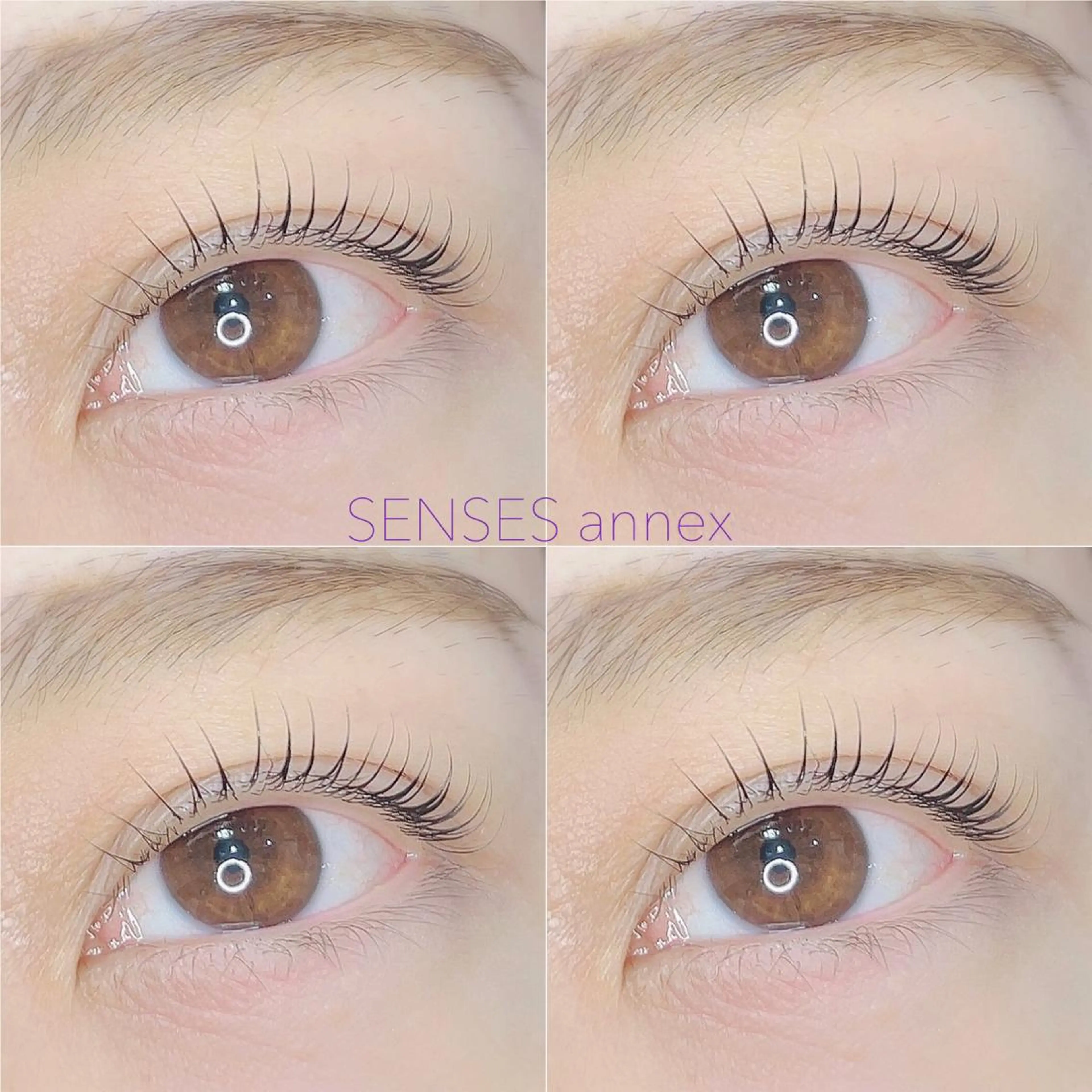 マツエク・マツパ マツパ MARI .のマツエク・マツパデザイン