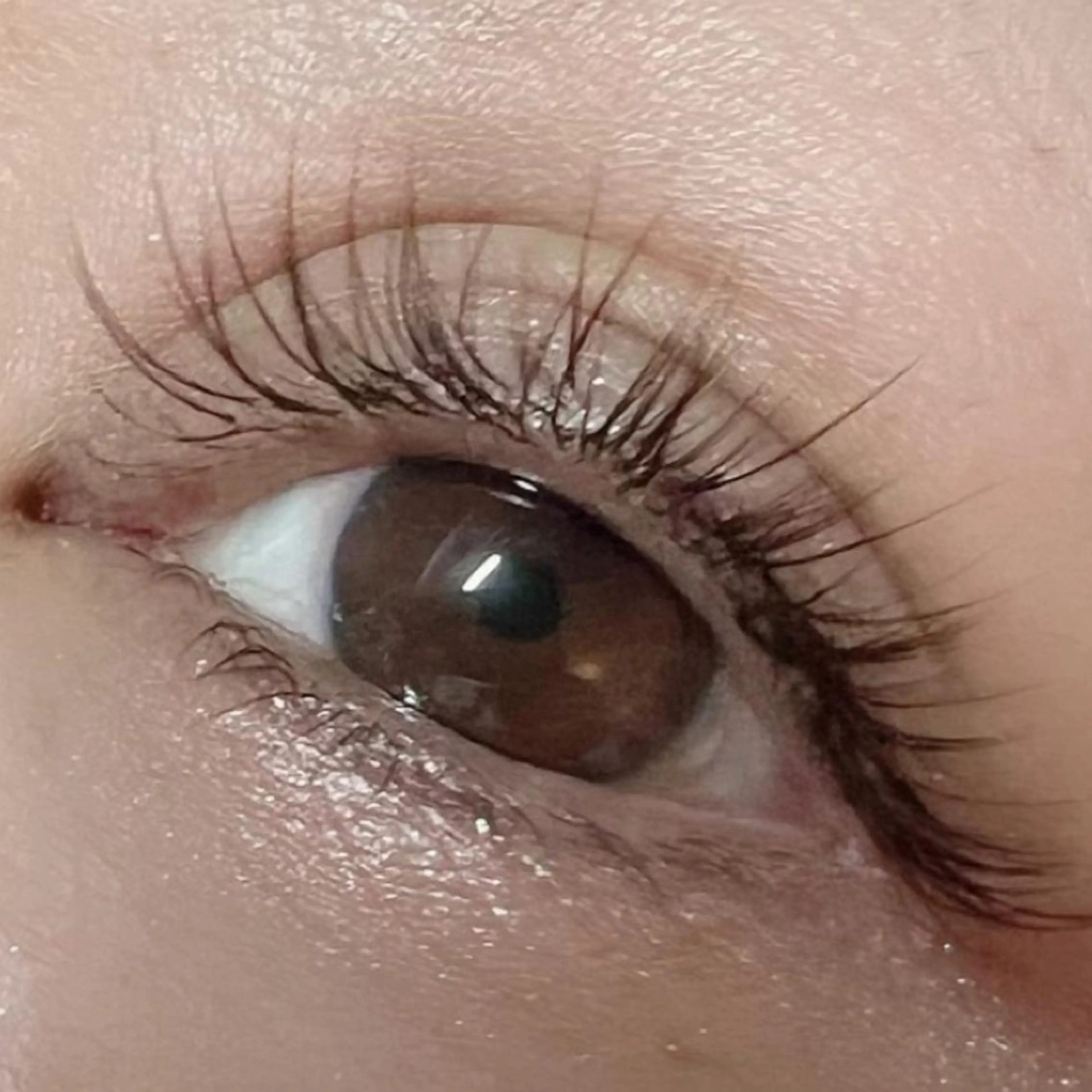 マツエク・マツパ マツエク 六花〜rikka〜所属・六花 〜rikka〜のマツエク・マツパデザイン