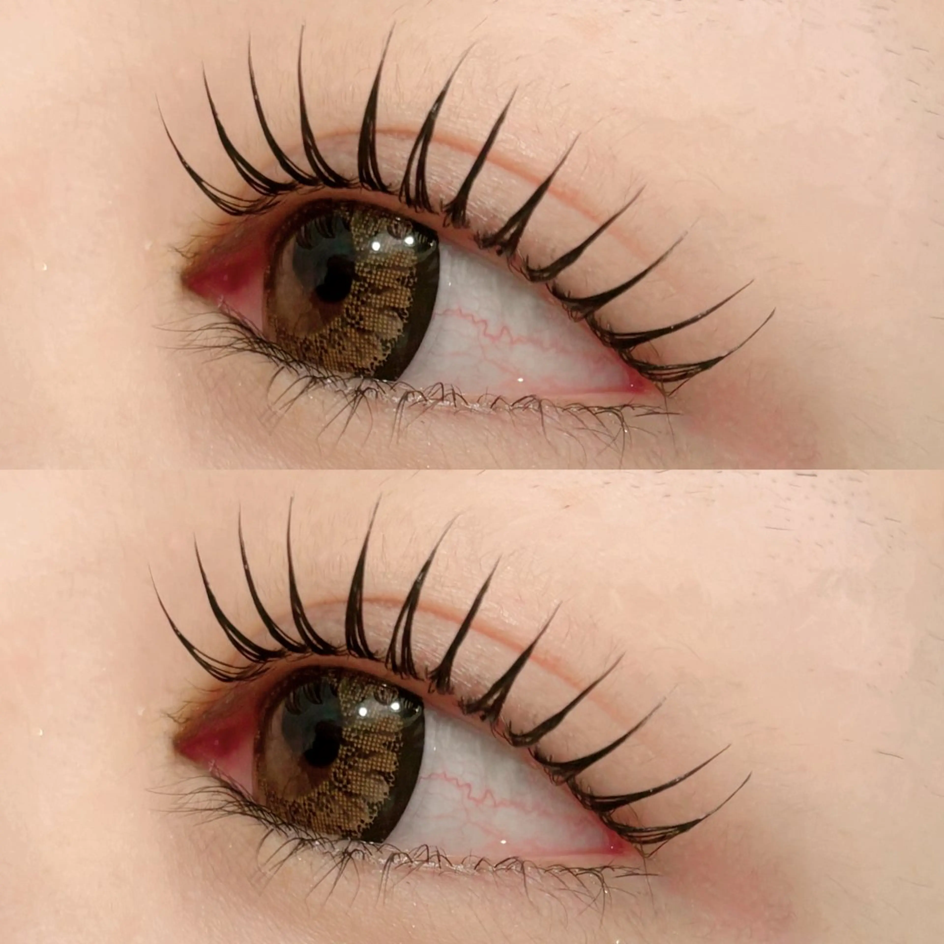 🫧ご新規様🫧まつ毛パーマ/パリジェンヌ【アイシャンプー&ケラチントリートメント付き】通常¥5800→¥4300の写真