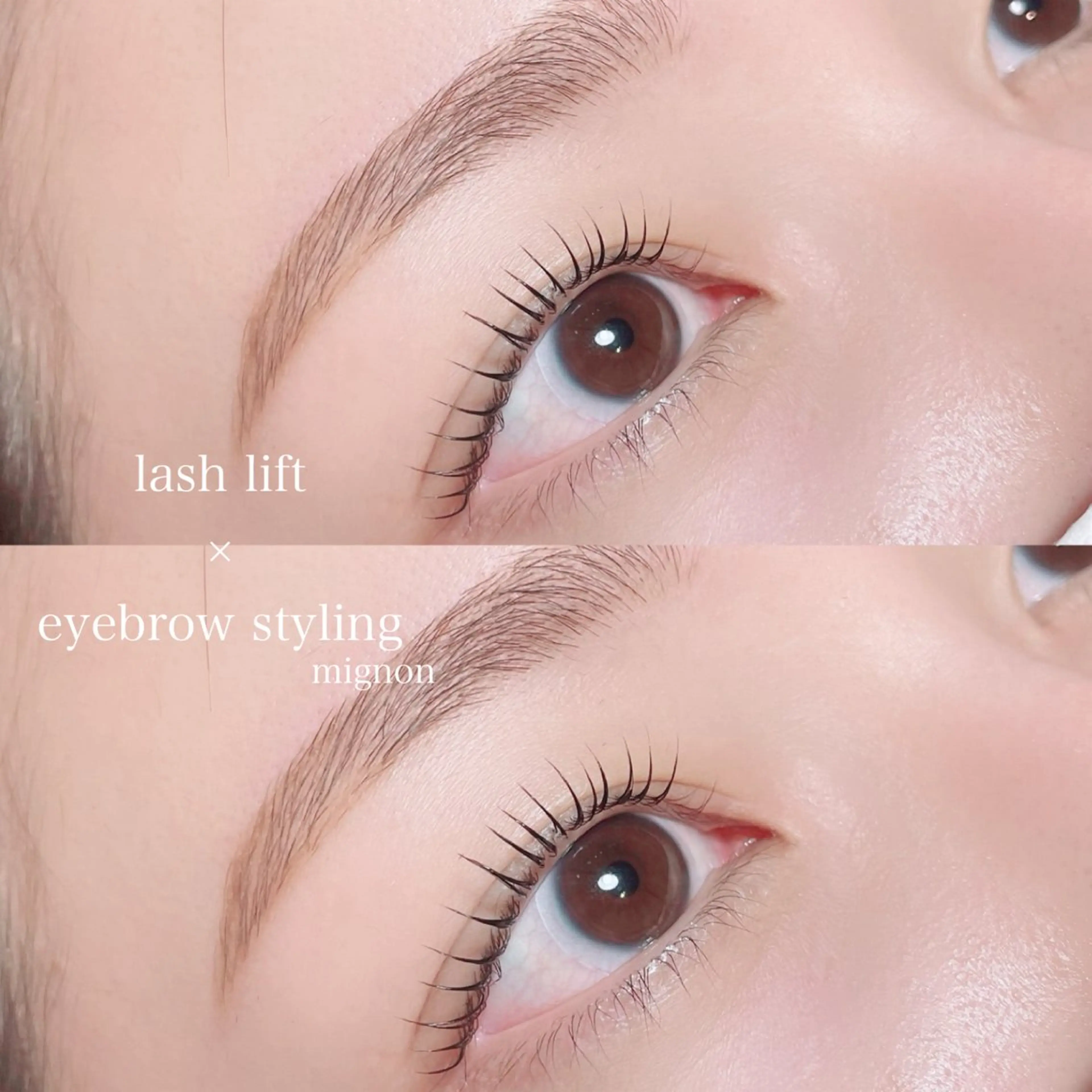 マツエク・マツパ mignon /まつげパーマ/眉毛のエステ・リラクイメージ