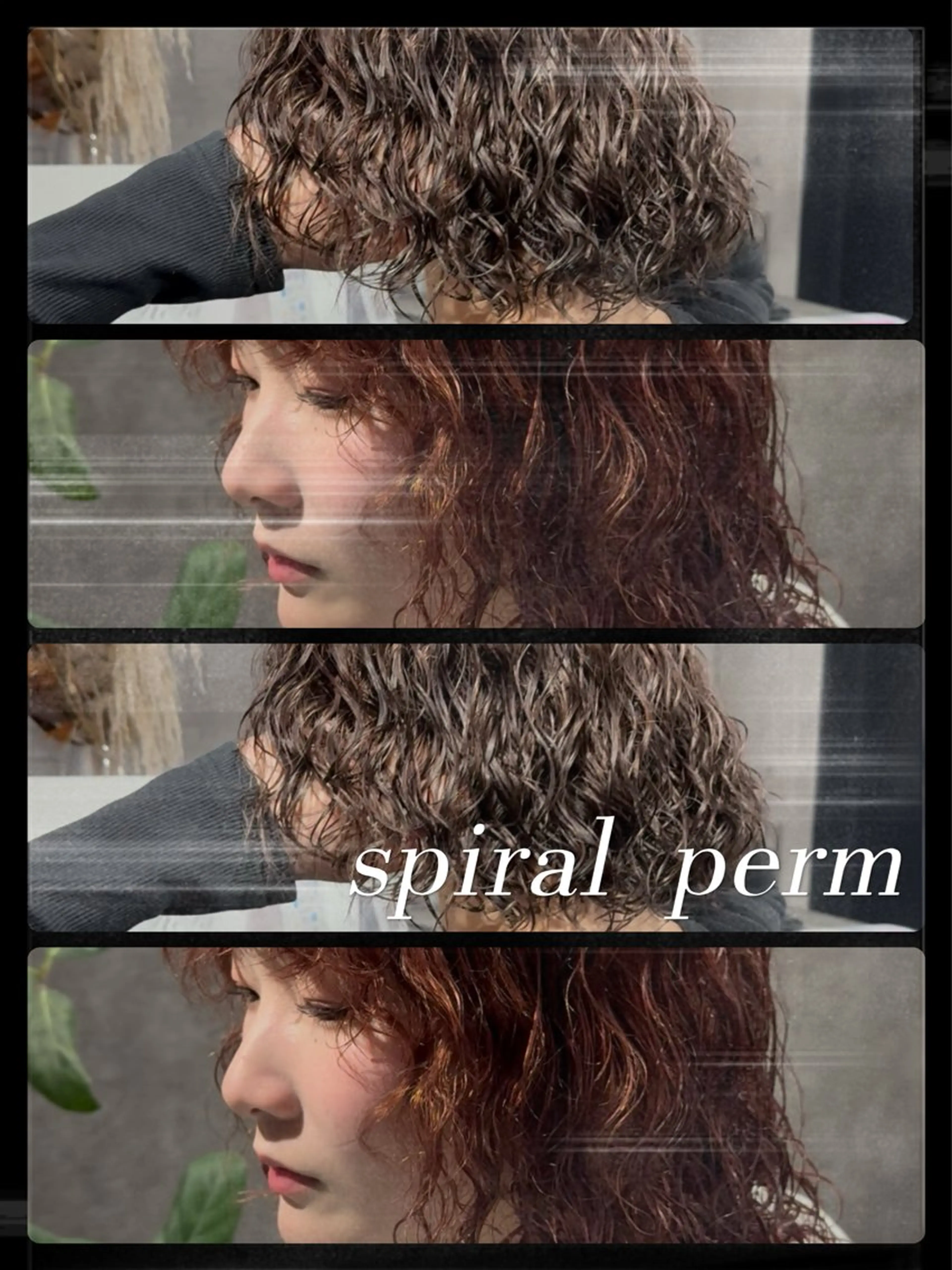 レディースパーマの写真