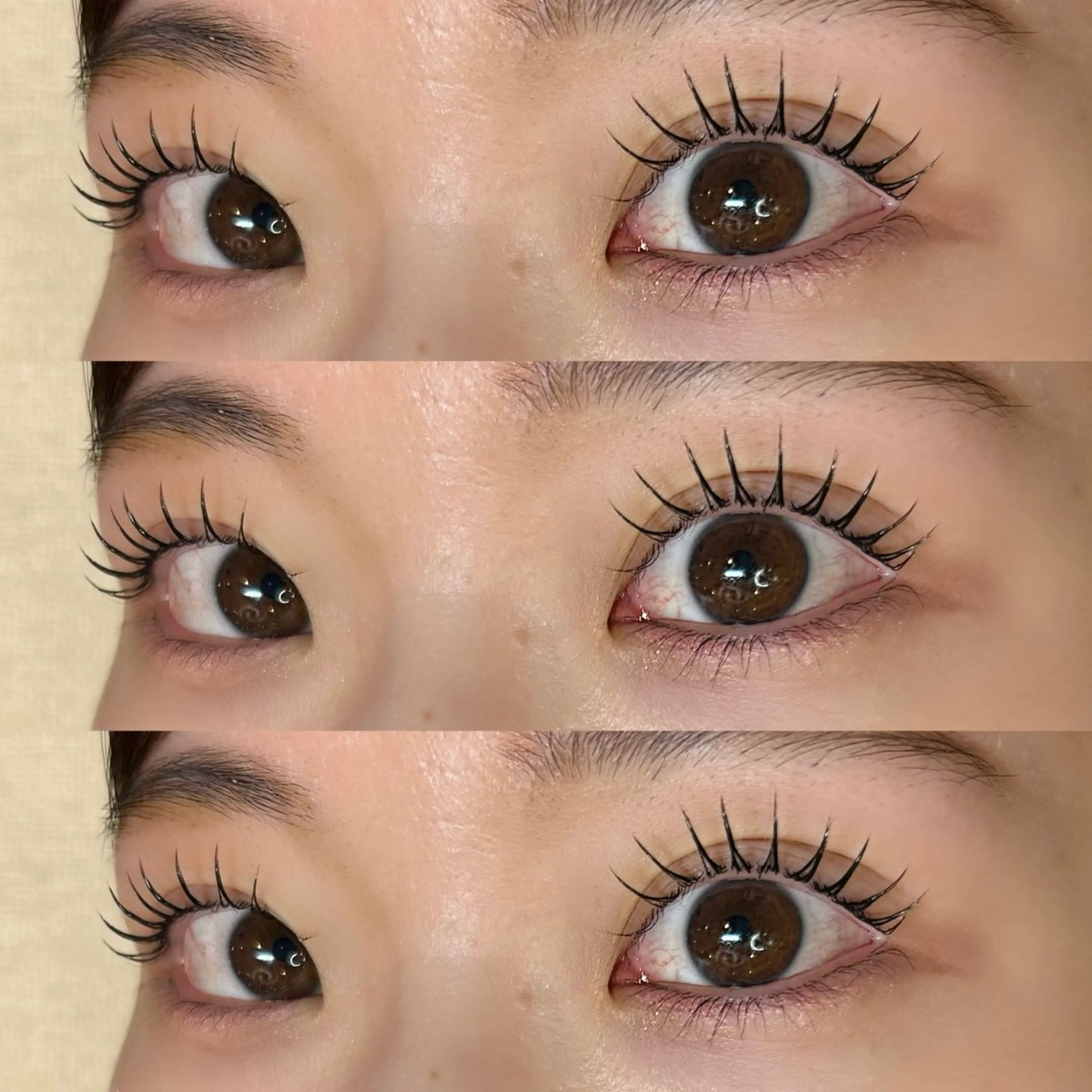 マツエク・マツパ 田中 芹菜のマツエク・マツパデザイン