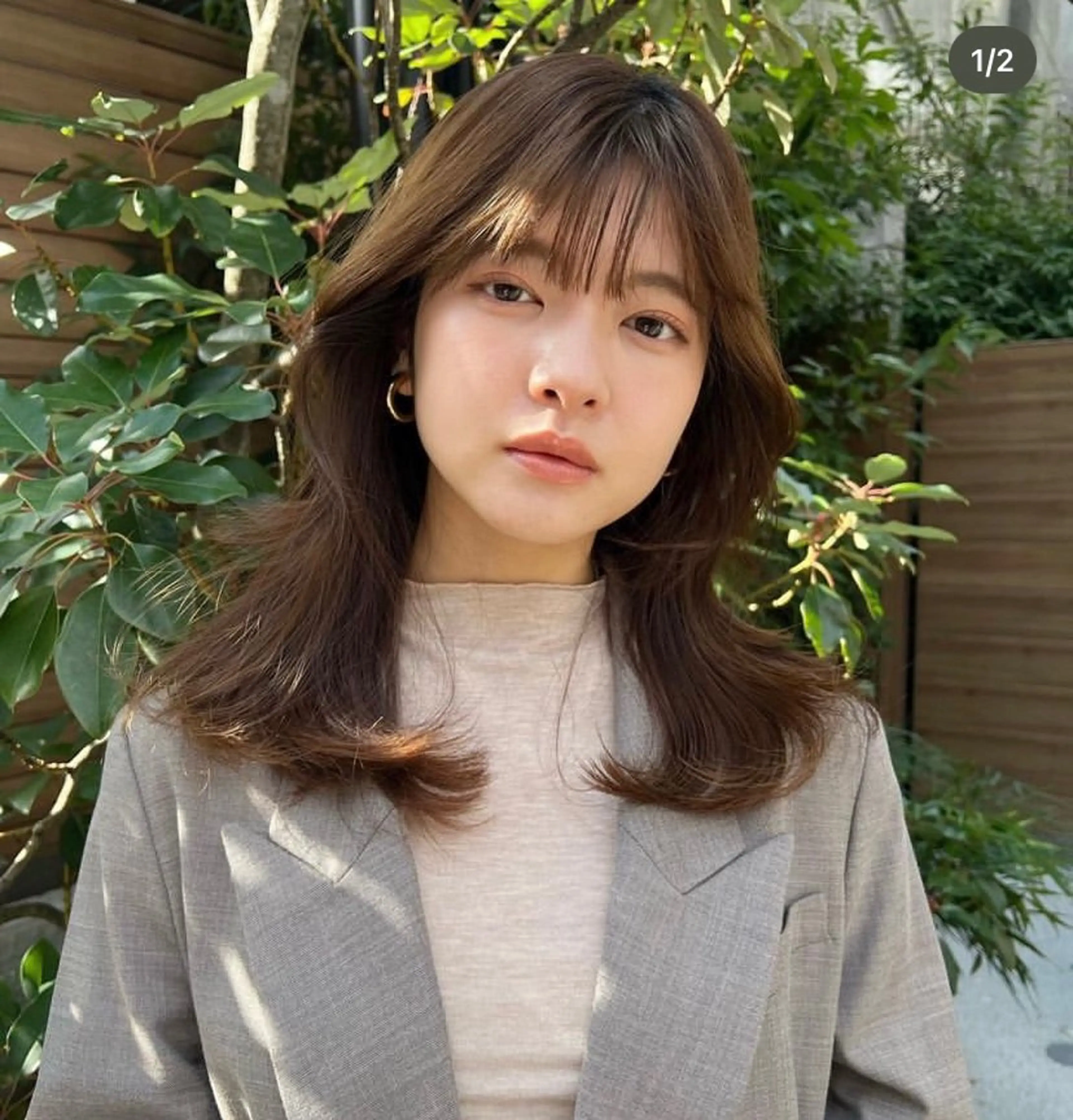 ﾘﾀｯﾁｶﾗｰ/ﾄﾘｰﾄﾒﾝﾄの写真