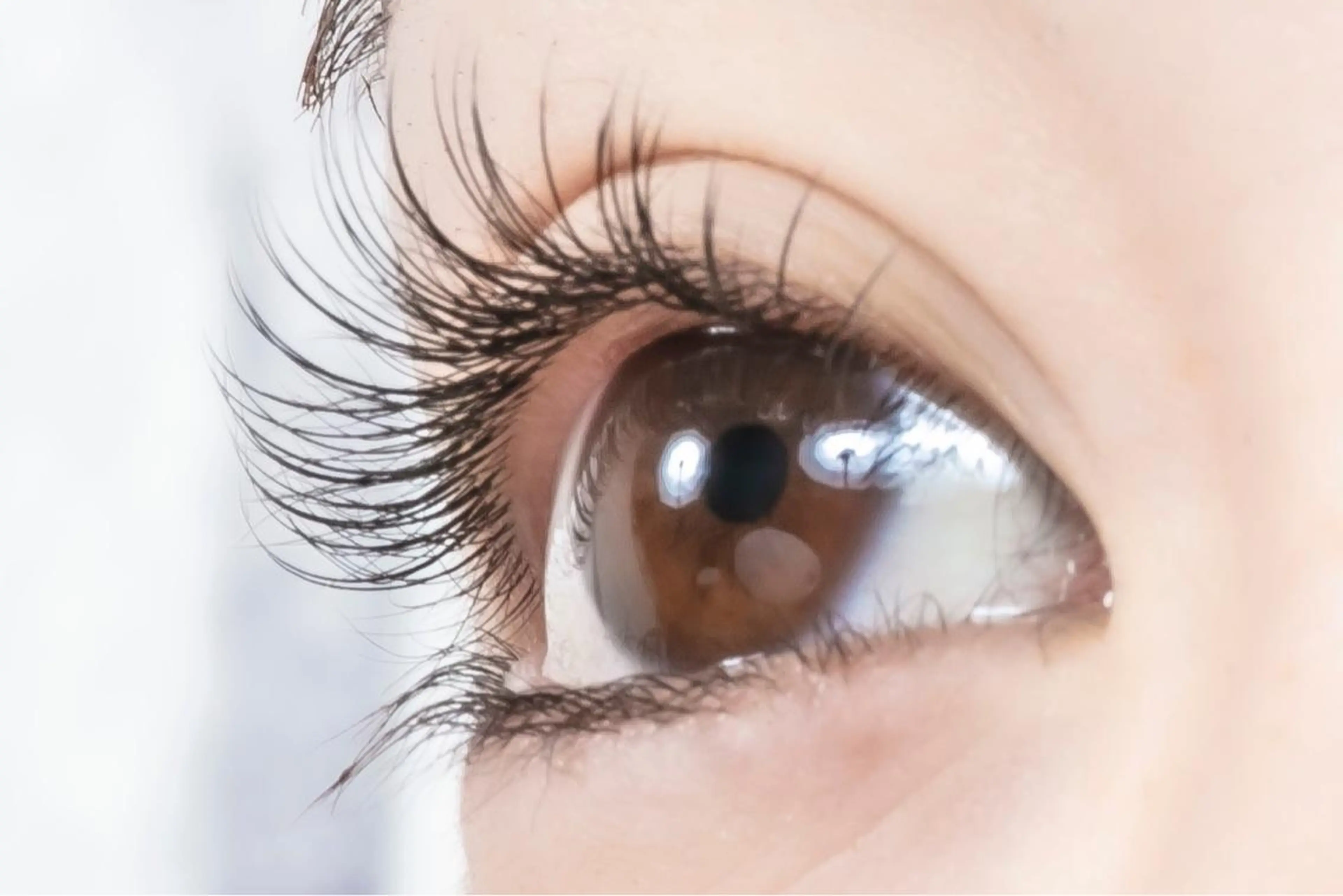 マツエク・マツパ Cカール ミンク Eyevy 恵比寿店所属・matsuhashi manakaの眉毛・アイブロウイメージ