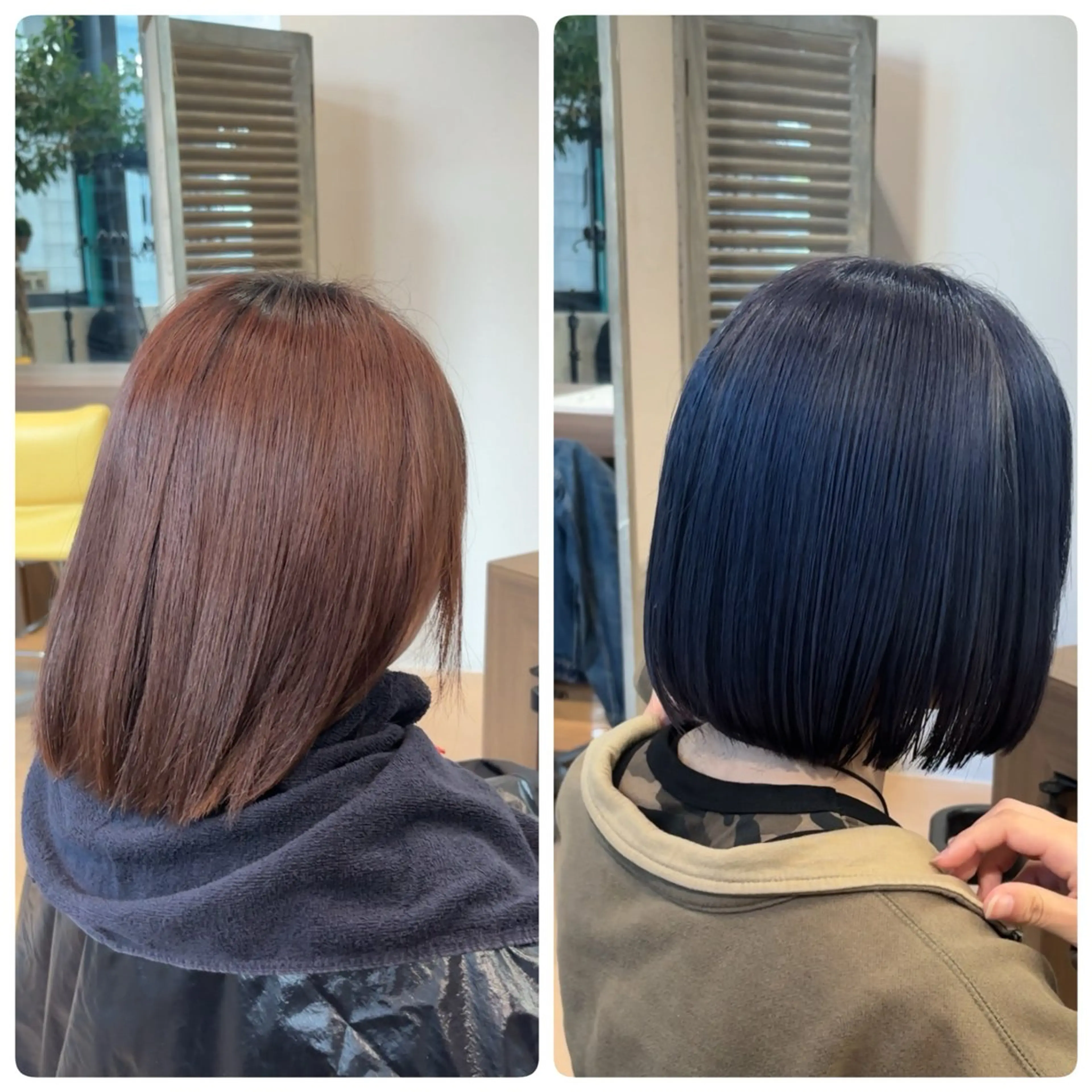 ショート カラー アッシュ ブルーカラー ブルーアッシュ ボブ 縮毛矯正 aura所属・CONAN｜レイヤー ボブ／ハイトーンのヘアスタイル