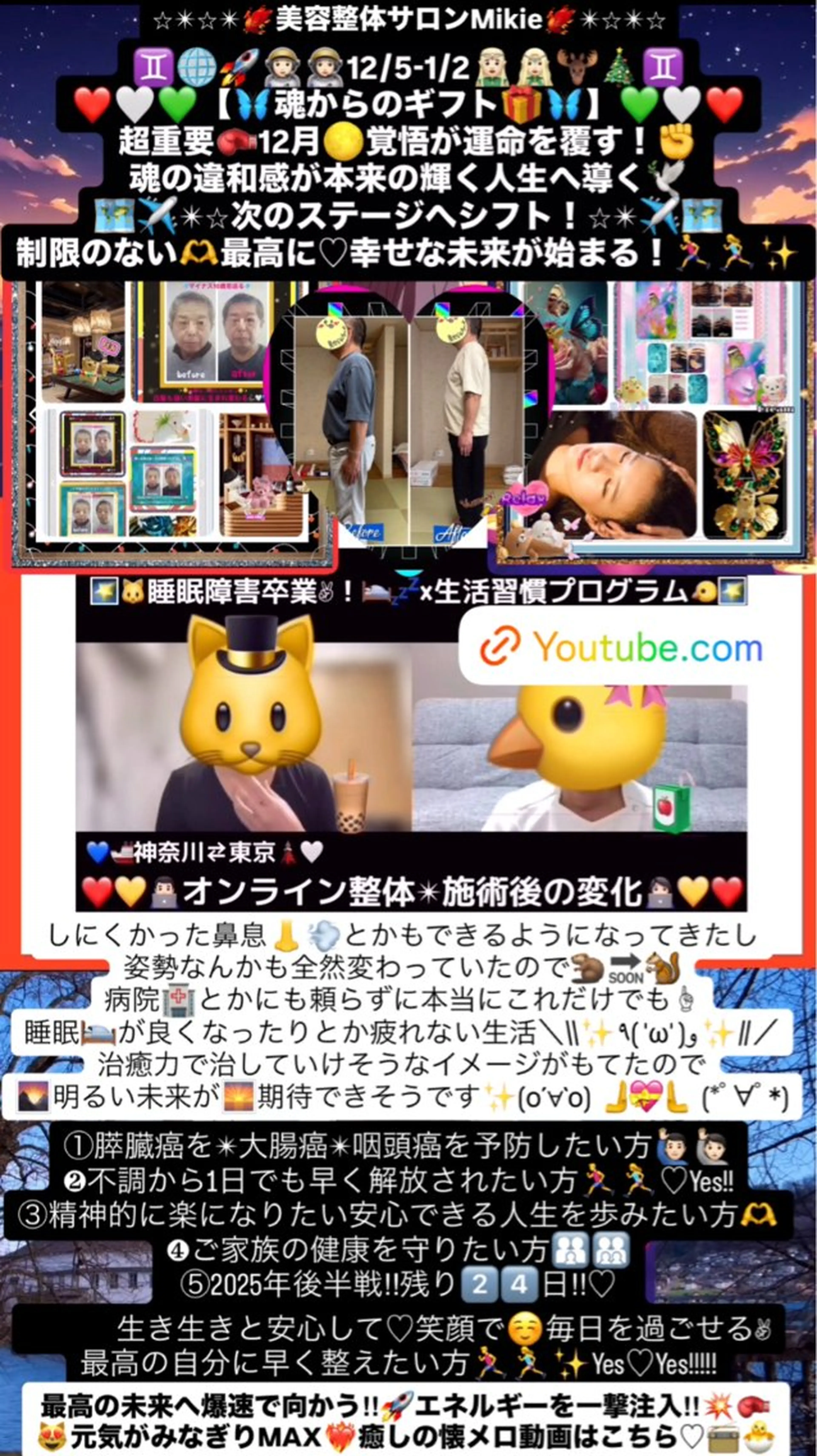 人生の輪廻転生🌅2025年残り1️⃣5️⃣日🐎🔥癌はご自身で予防✊遺伝は5%⚠️体質改善生活習慣90日間プログラムの写真