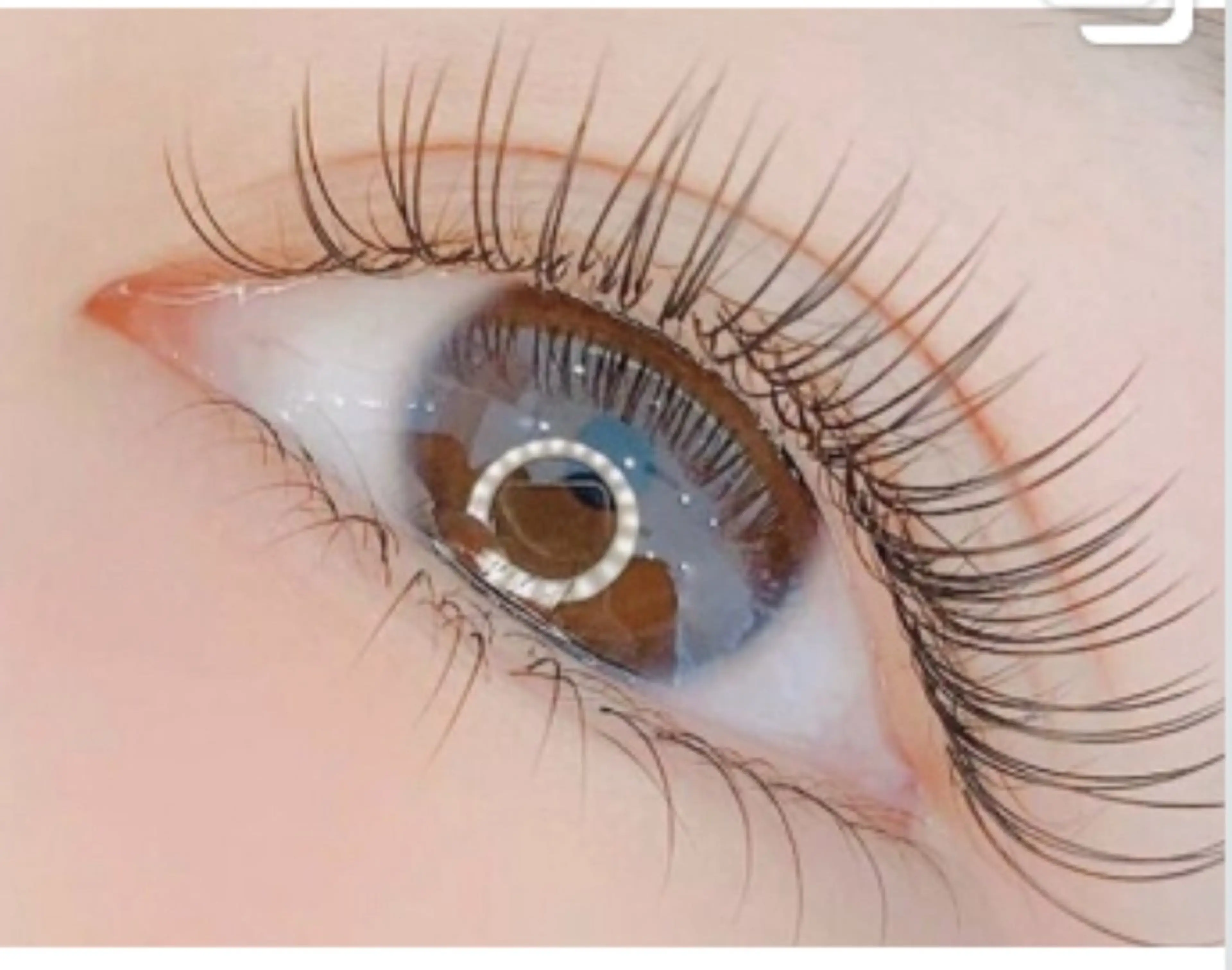 最新フラットラッシュ 120本の写真