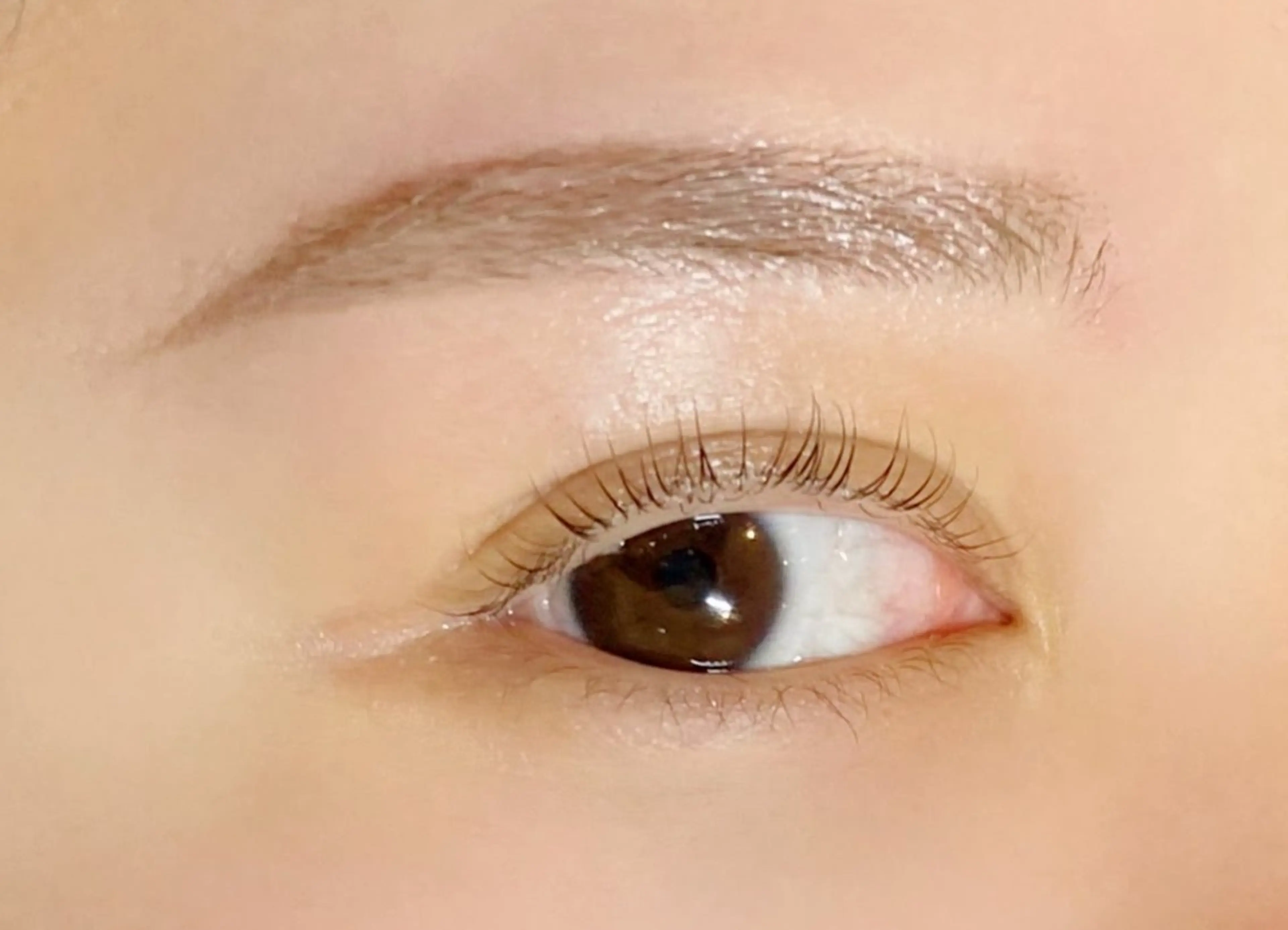 🫧アイブロウモデル募集🎀骨格に合わせて似合わせ眉作ります！レッスンお力添え頂けますと幸いです🥹の写真