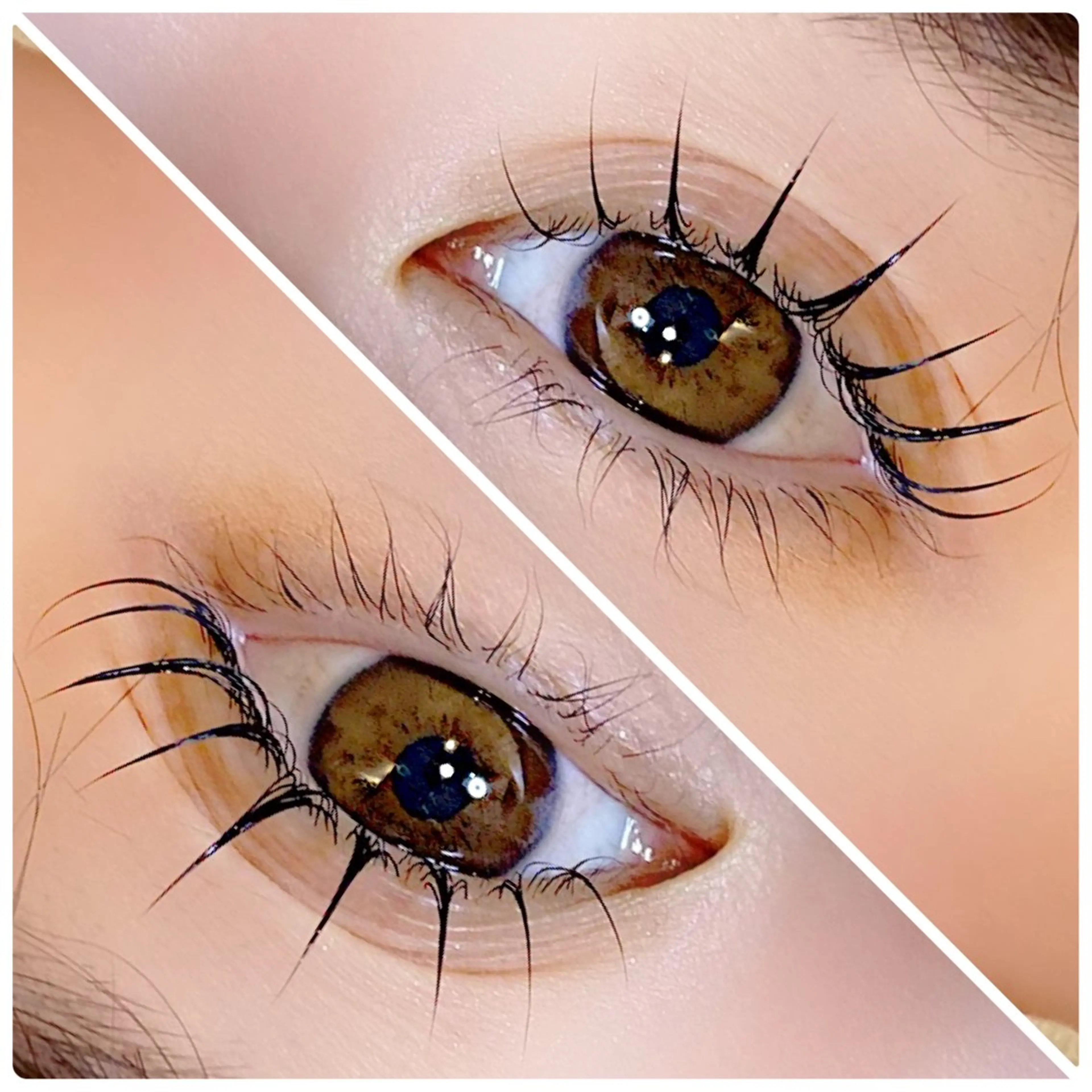 パンダロッド♪真っ直ぐ扇状のパーマで最上級デカ目に！の写真