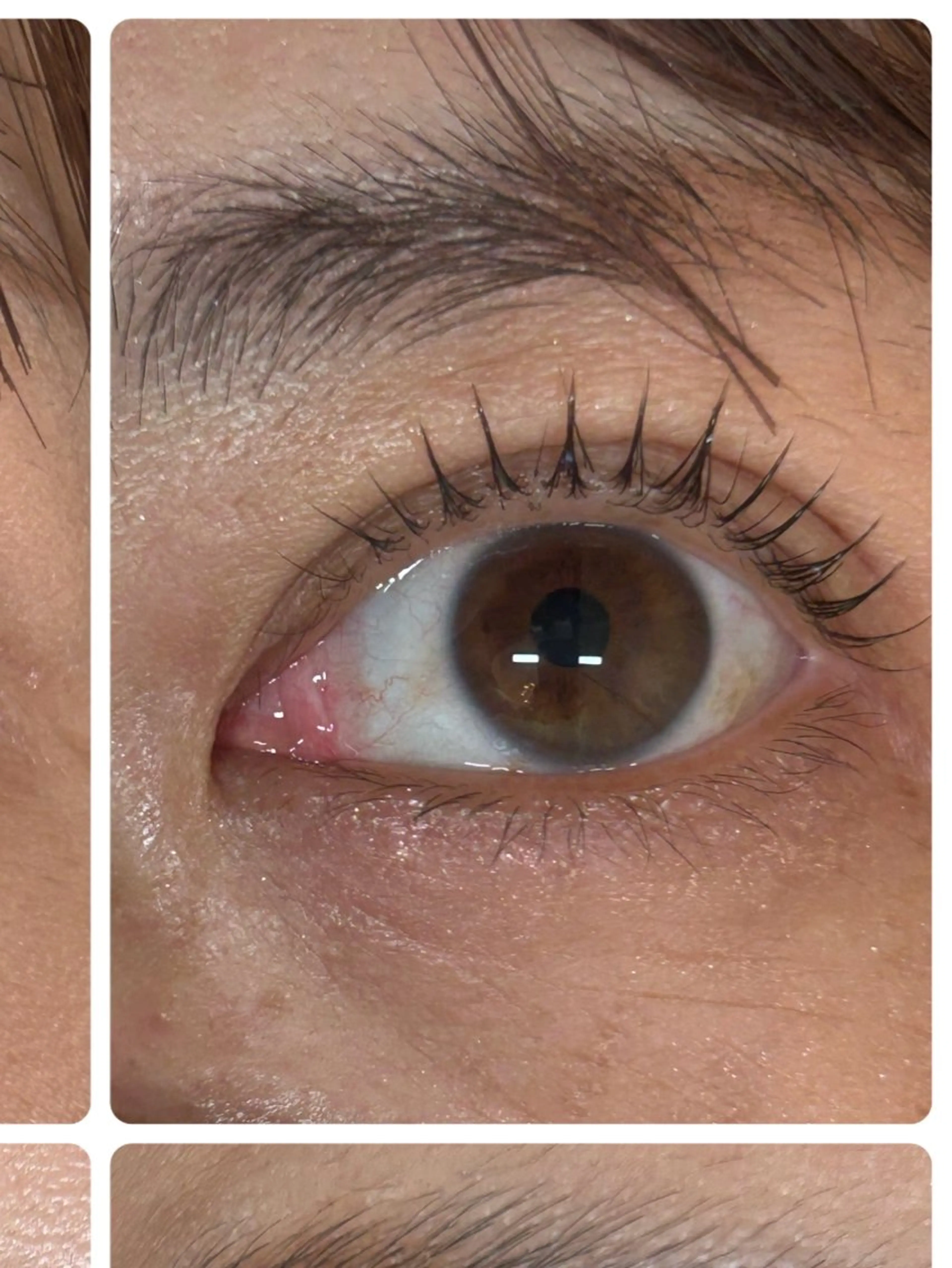 マツエク・マツパ ロカヒ うつみのマツエク・マツパデザイン