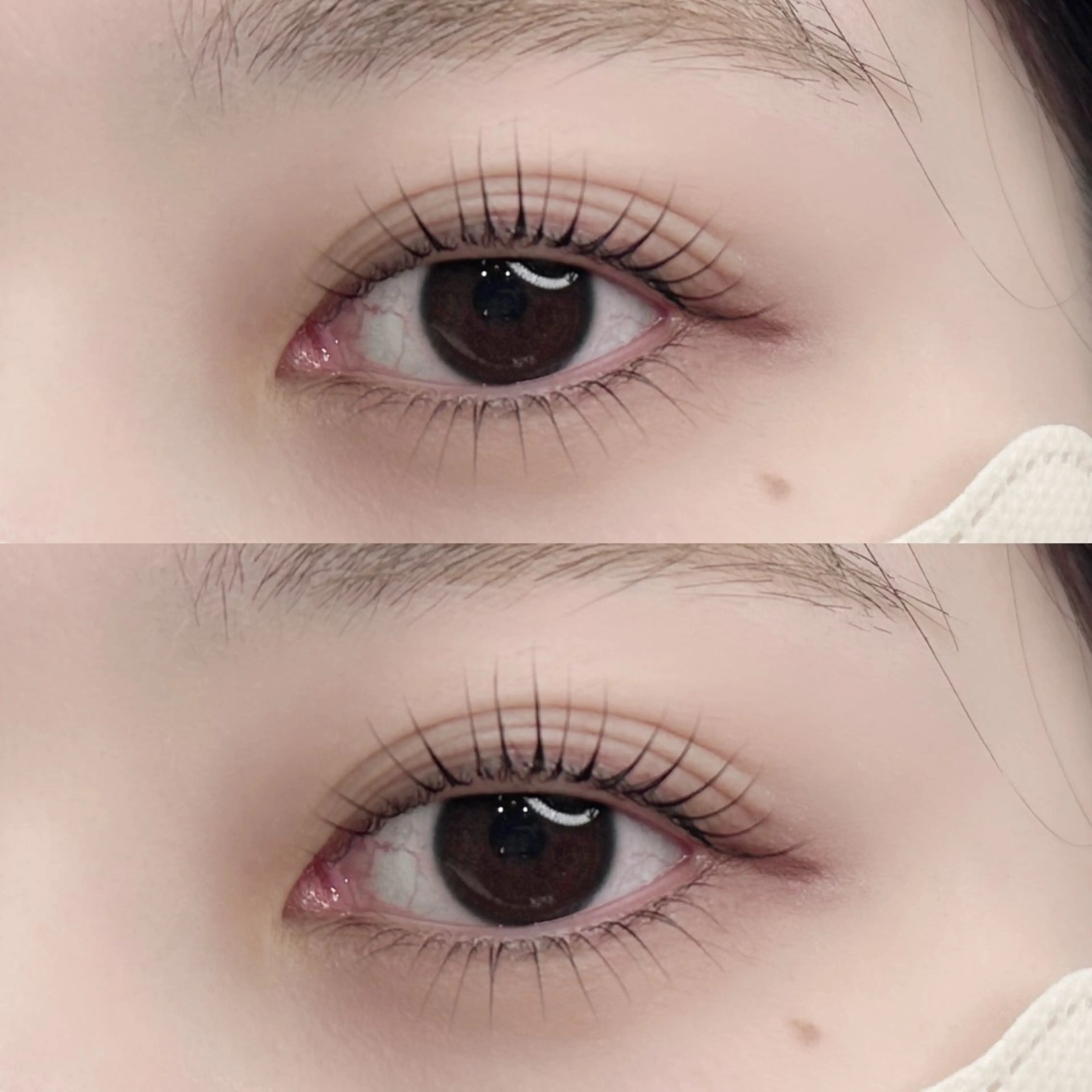 【日曜日限定】まつげ上下パーマ☘️(アイシャンプー+お仕上げ束感コーティング美容液つき)💞の写真