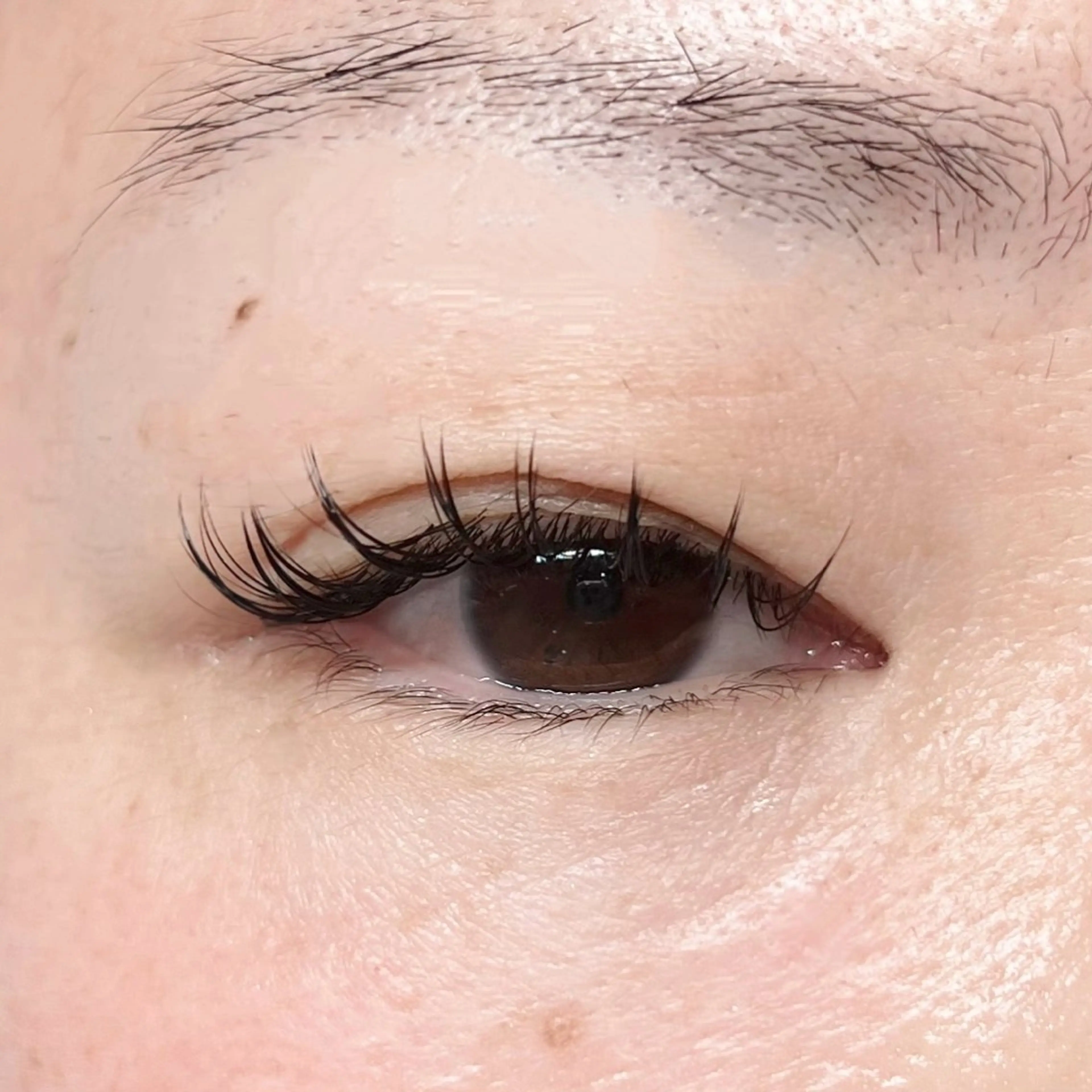 マツエク・マツパ ナチュラル セーブル kaho / u.のマツエク・マツパデザイン