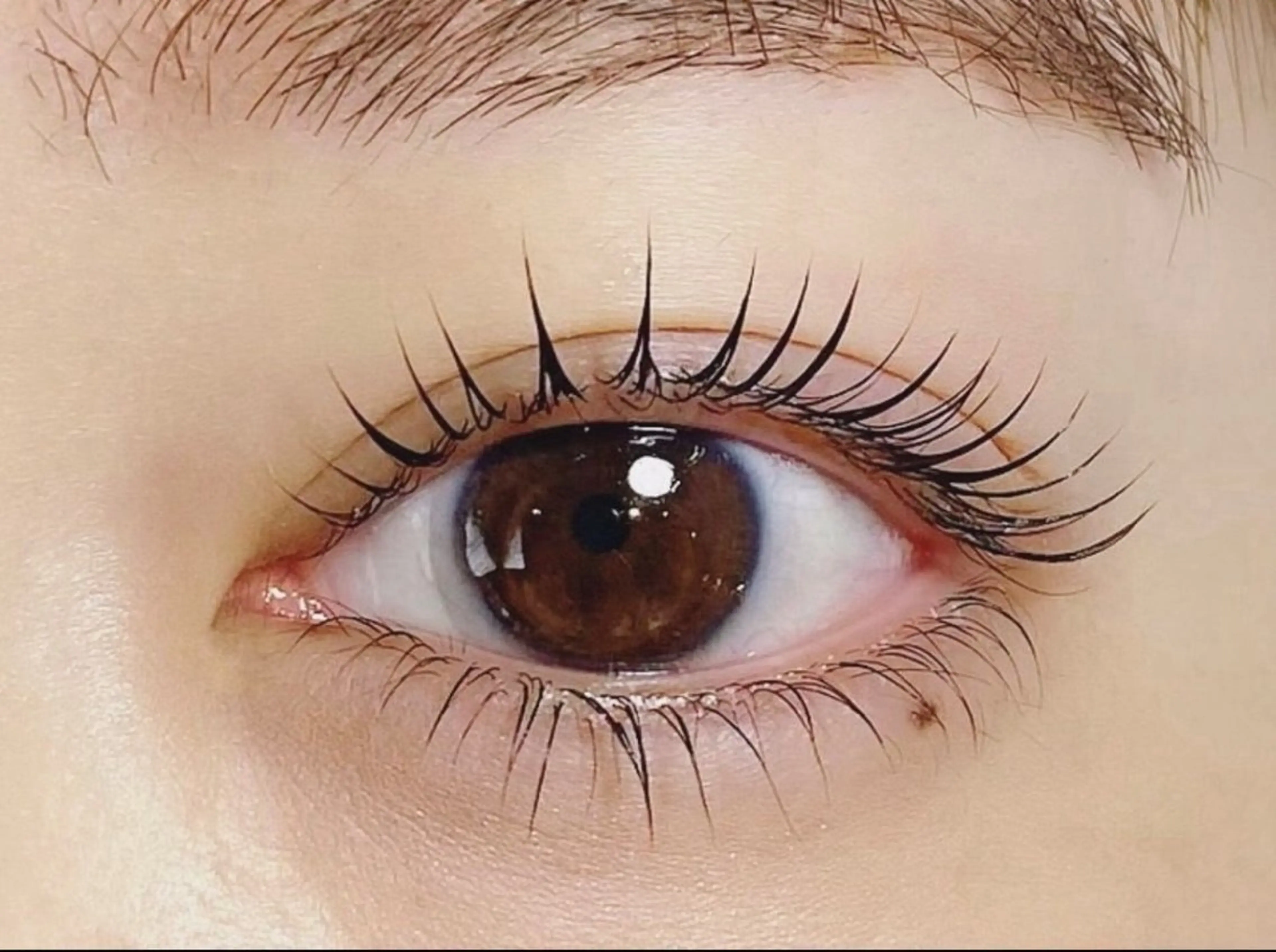 上下まつ毛パーマ👀トリートメント付き！施術時間60分の写真