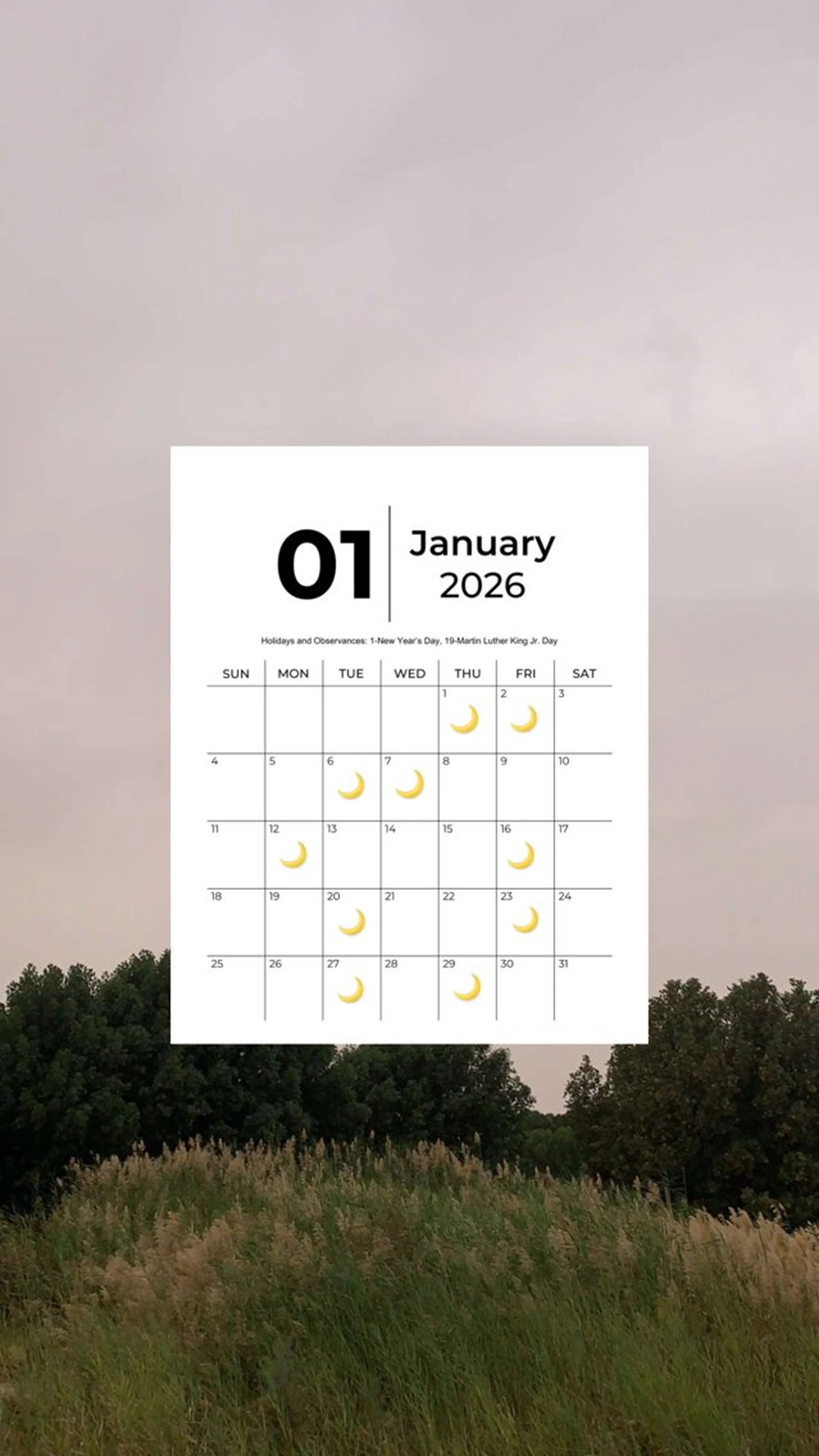 Chaton  ♡ KIRIKOSHIのマツエク・マツパデザイン